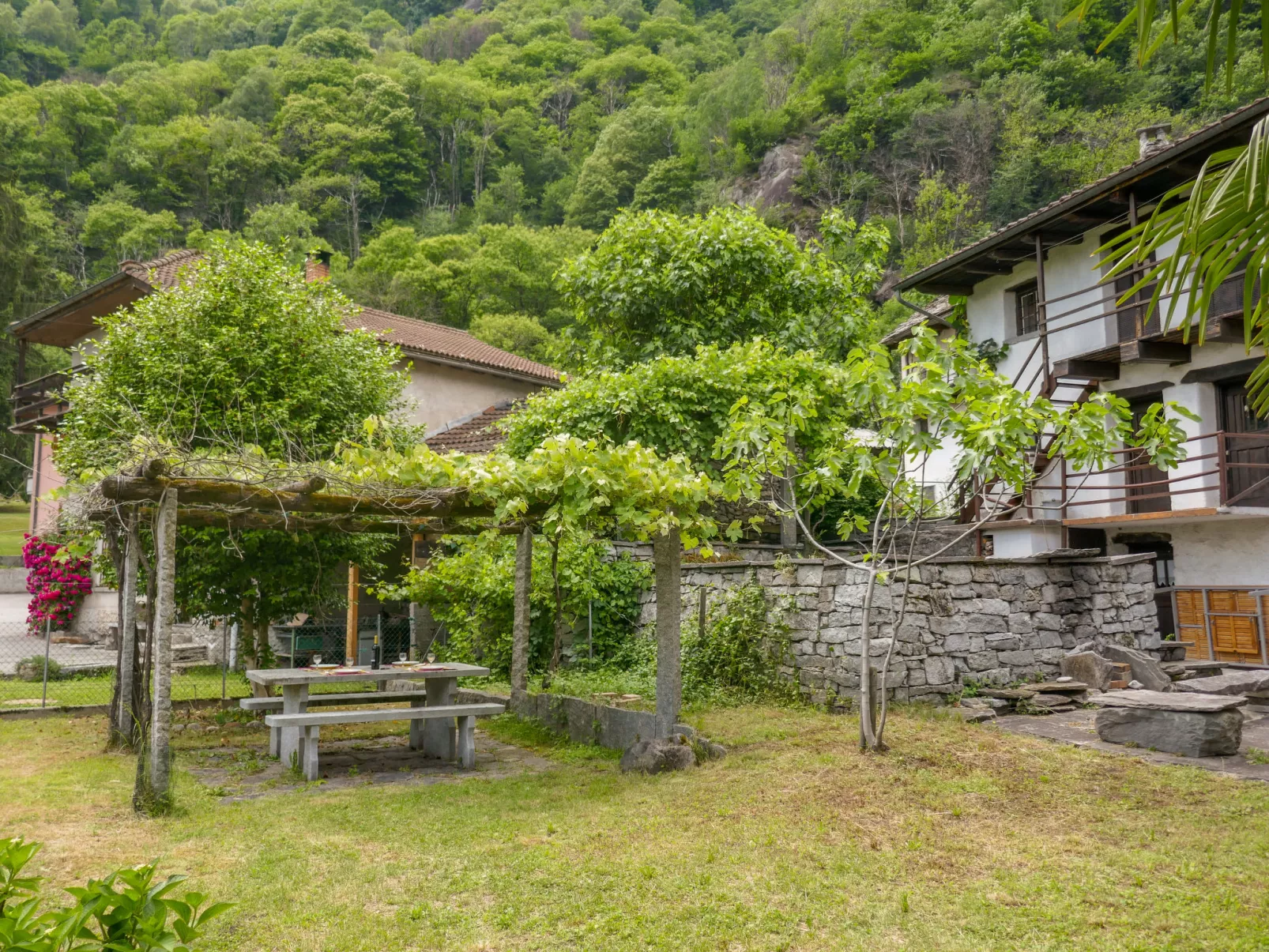 Margarita-Dehors