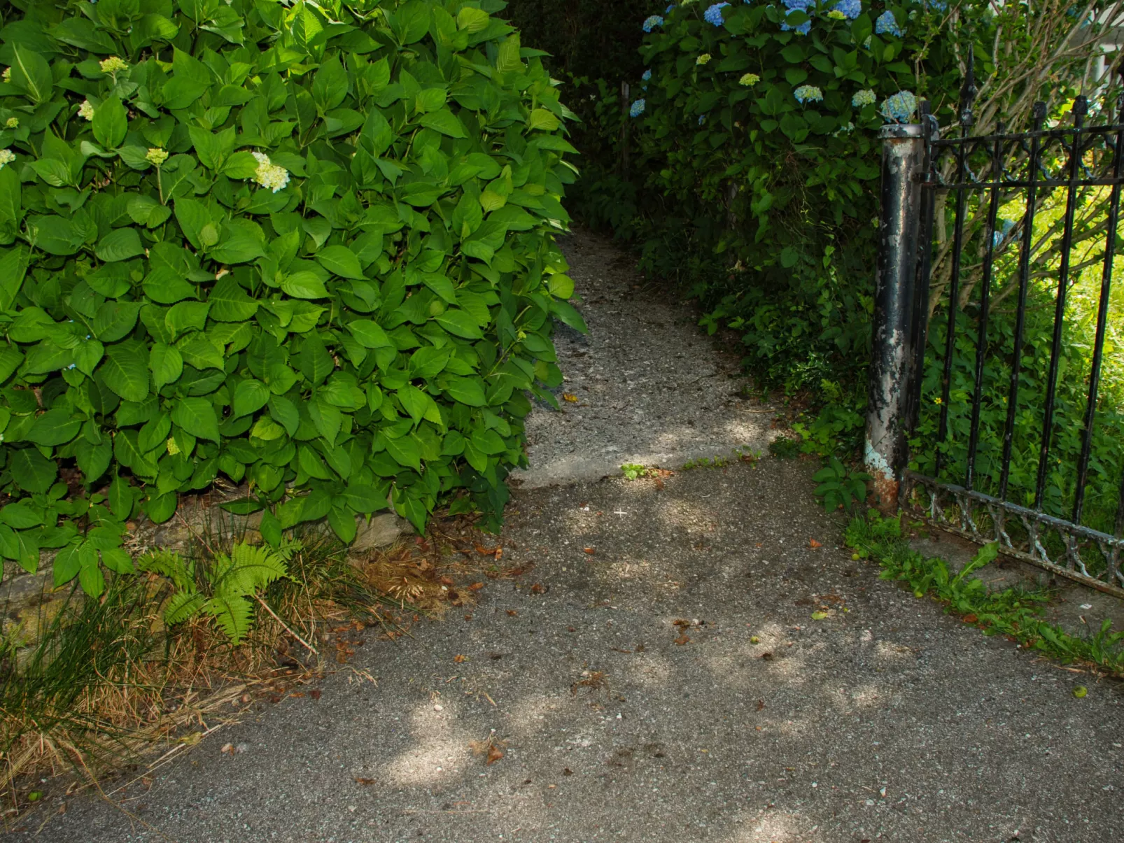 Baita Monti di Piazzogna-Outside