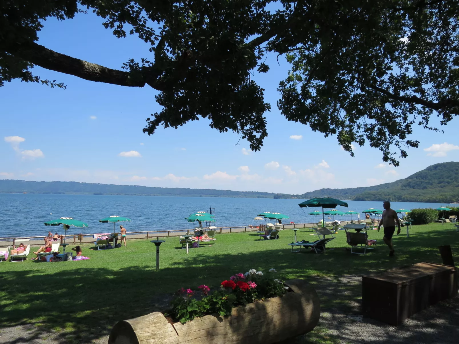 Il Vitigno-Area
