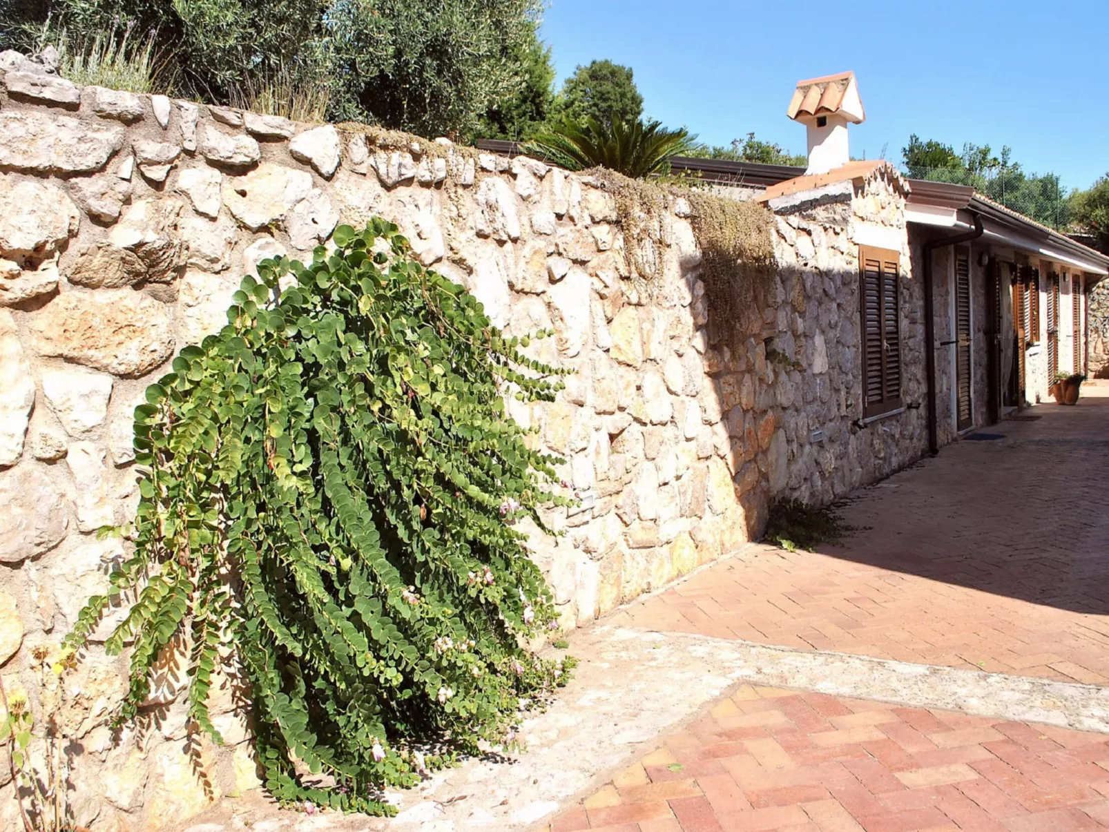 La collina Delle Stelle-Outside