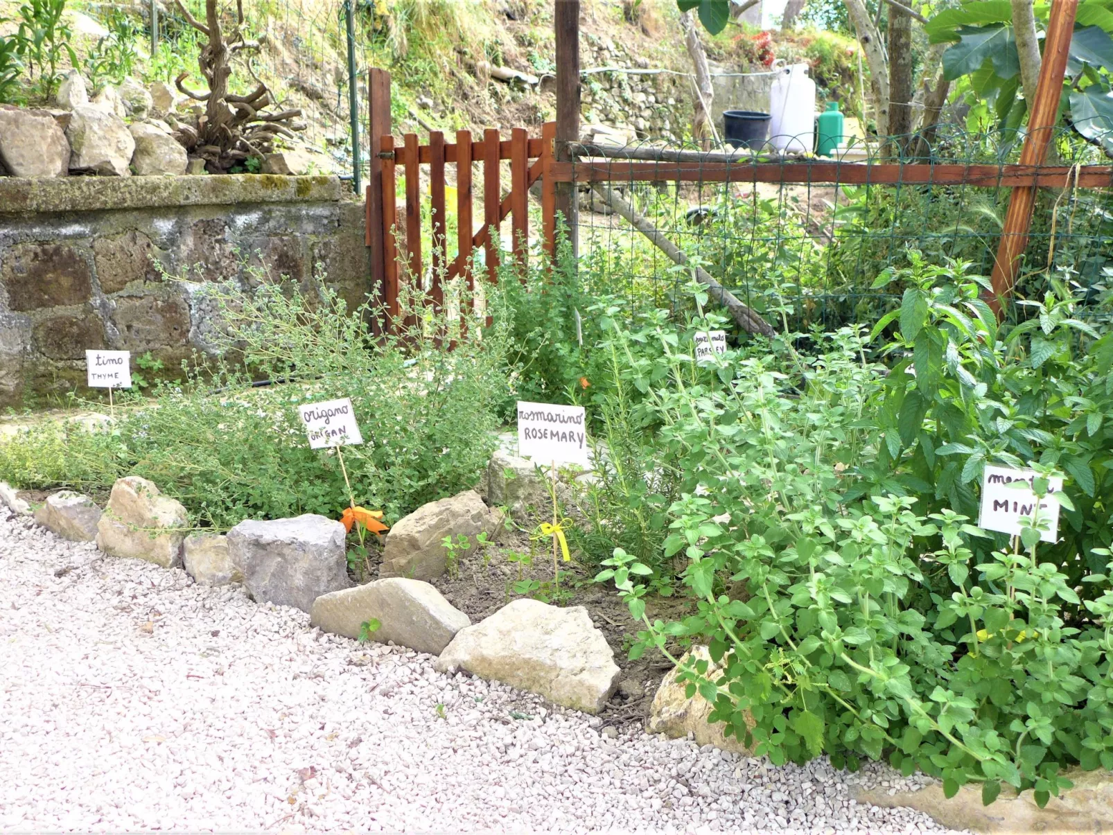 Nataly Country House-Dehors