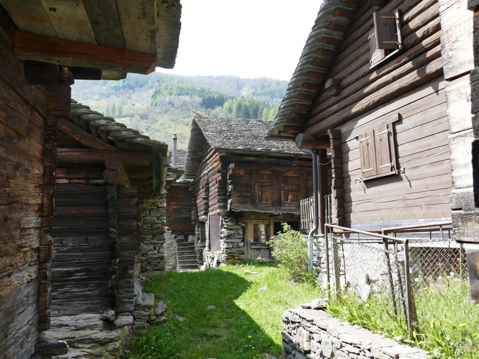 Rustico Gatti-Draußen