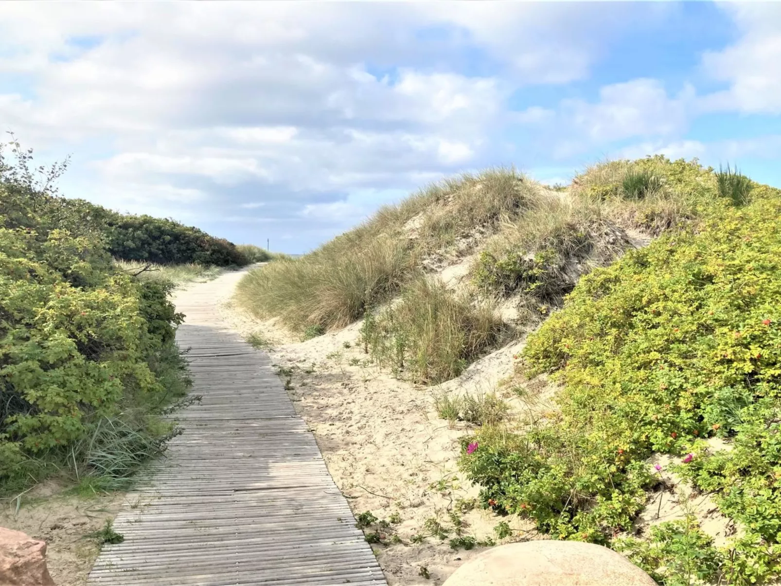"Landuin" - 230m from the sea-Outside