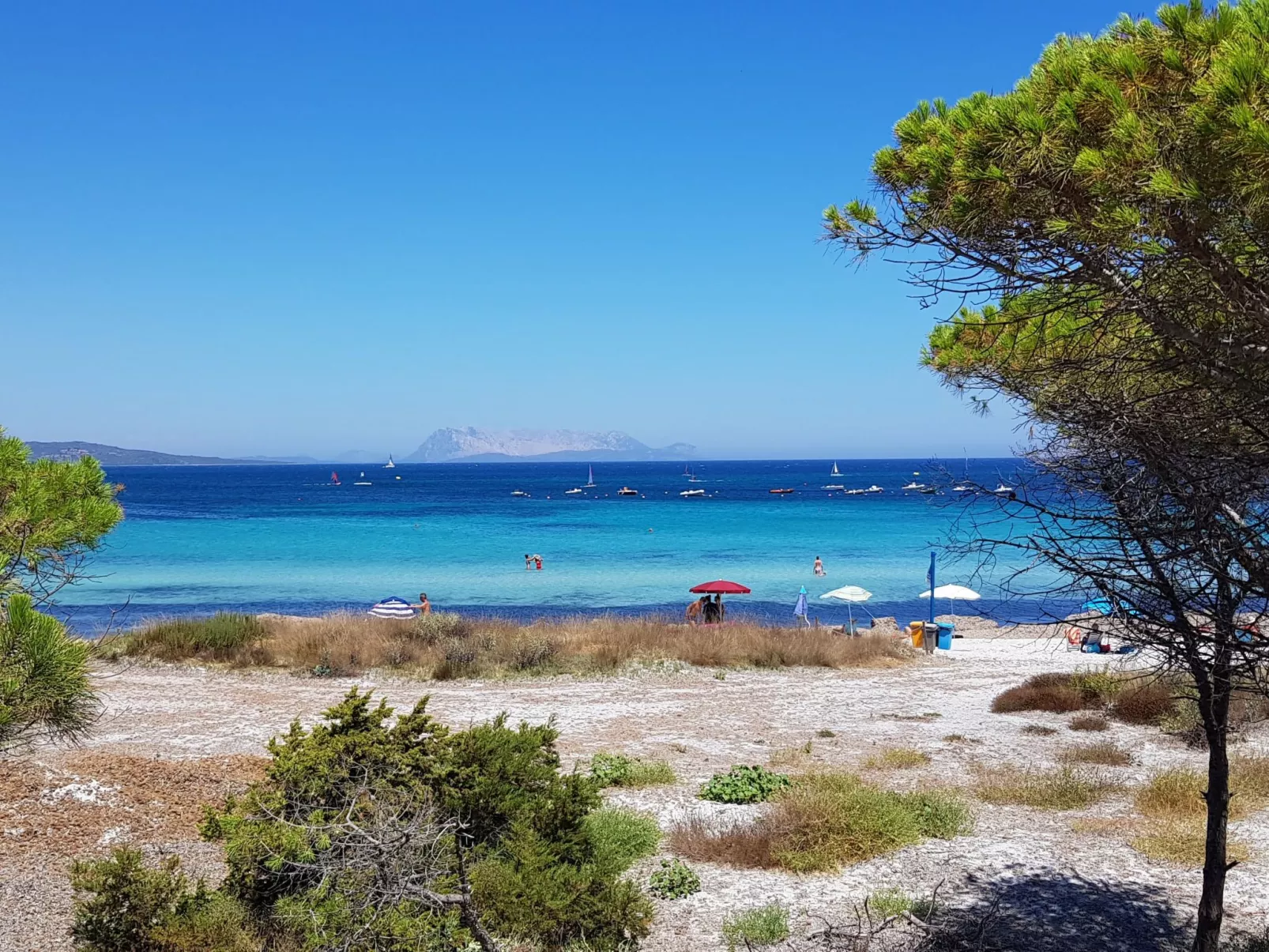 Le Dimore di Budoni-Area
