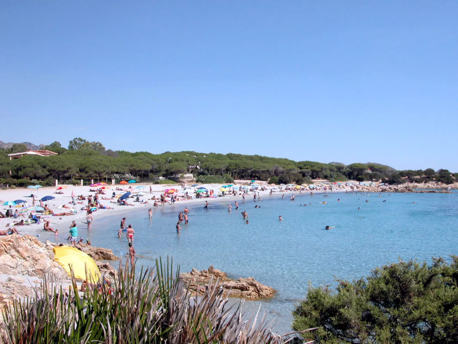 Cala Viola-Area
