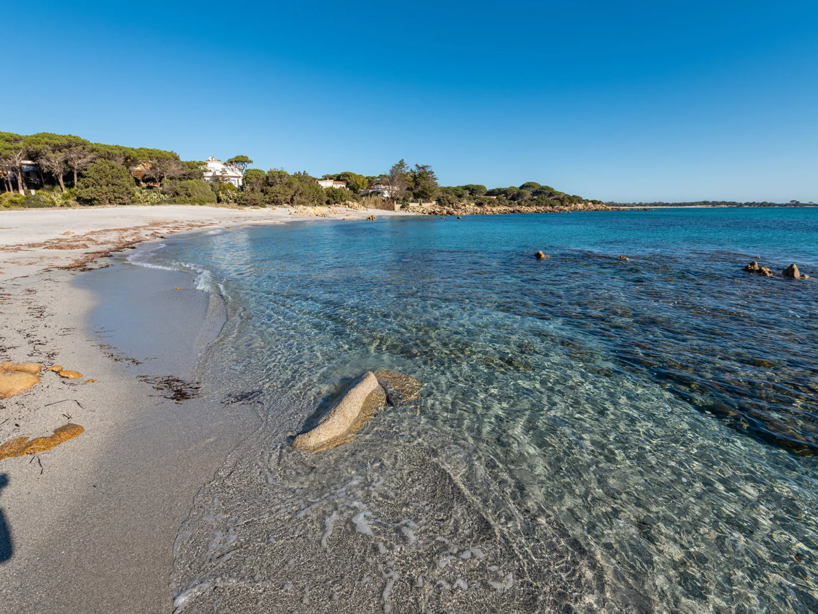 Cala Viola-Area