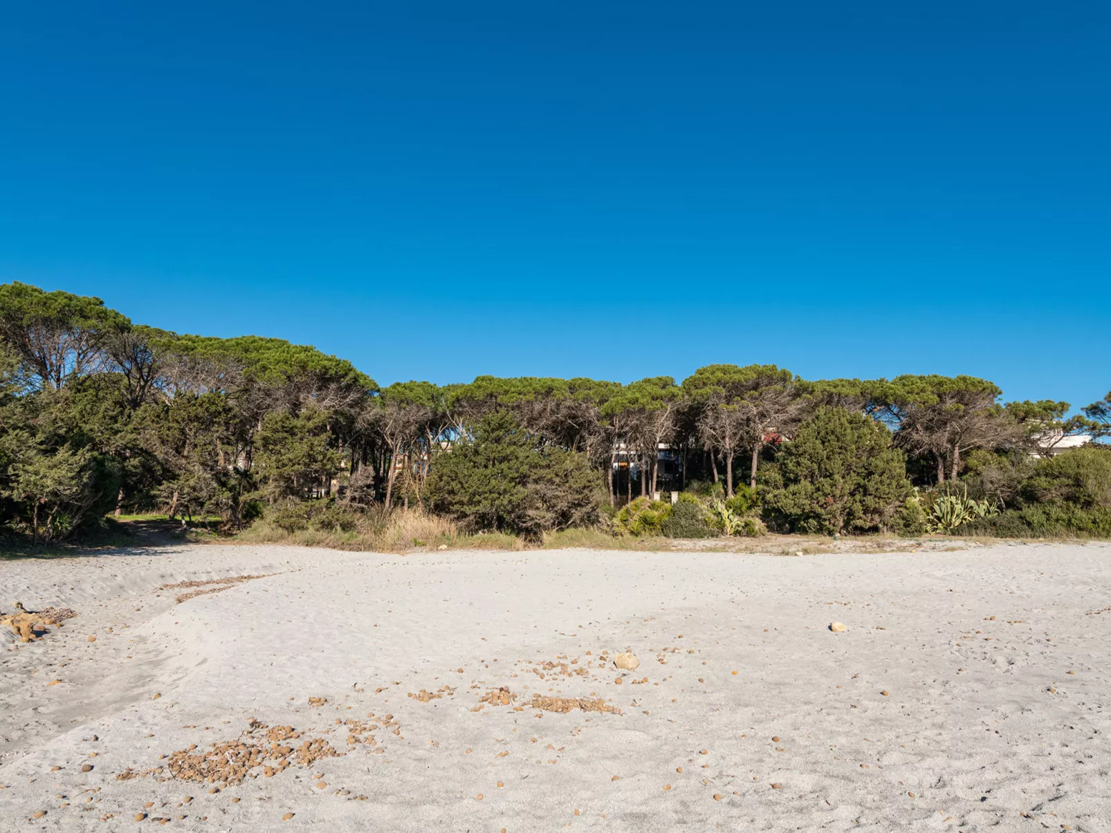 Cala Viola-Area