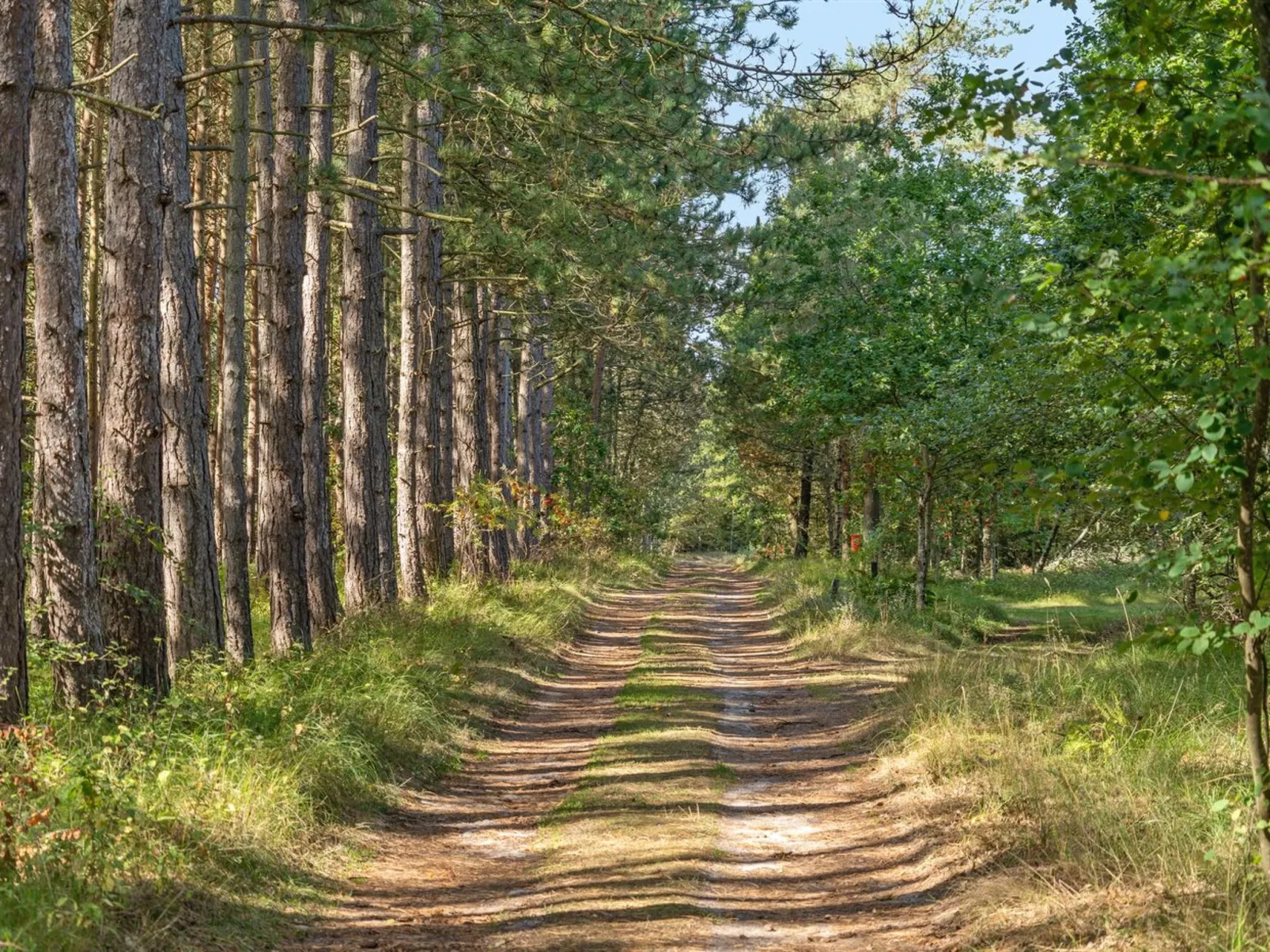 "Beatrix" - 700m from the sea-Draußen