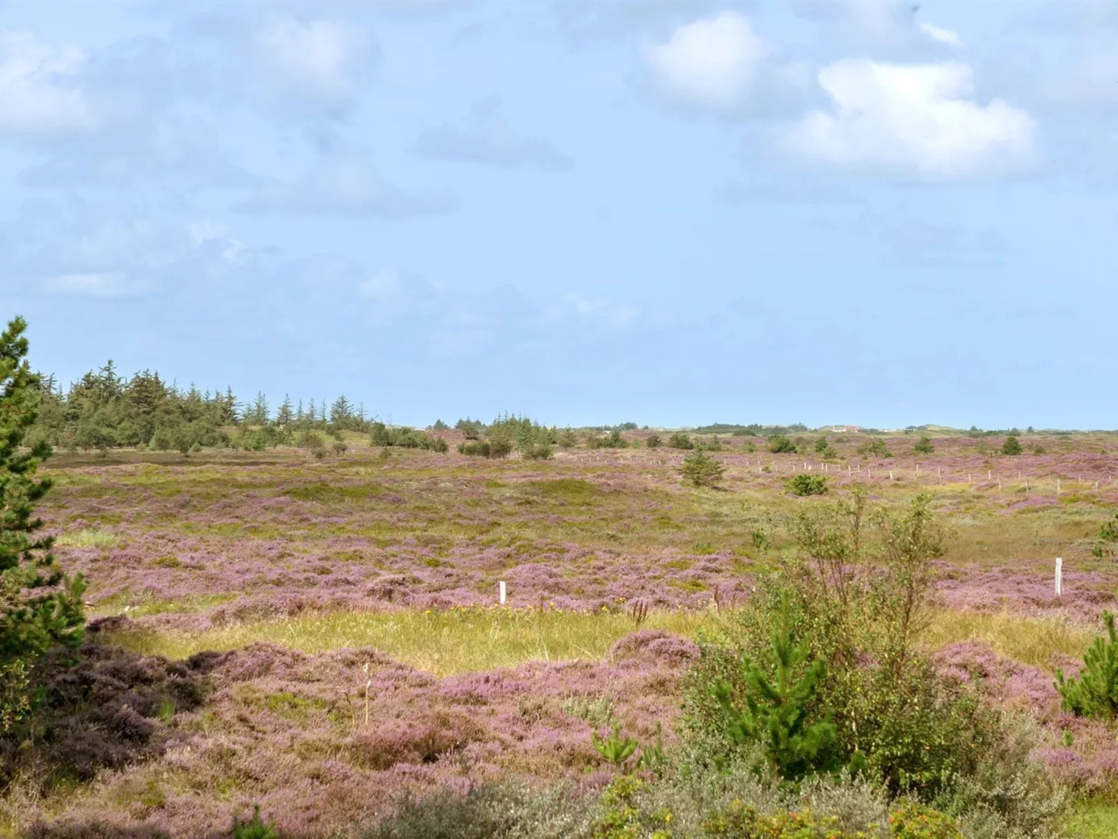 "Urpo" - 6km from the sea-Outside