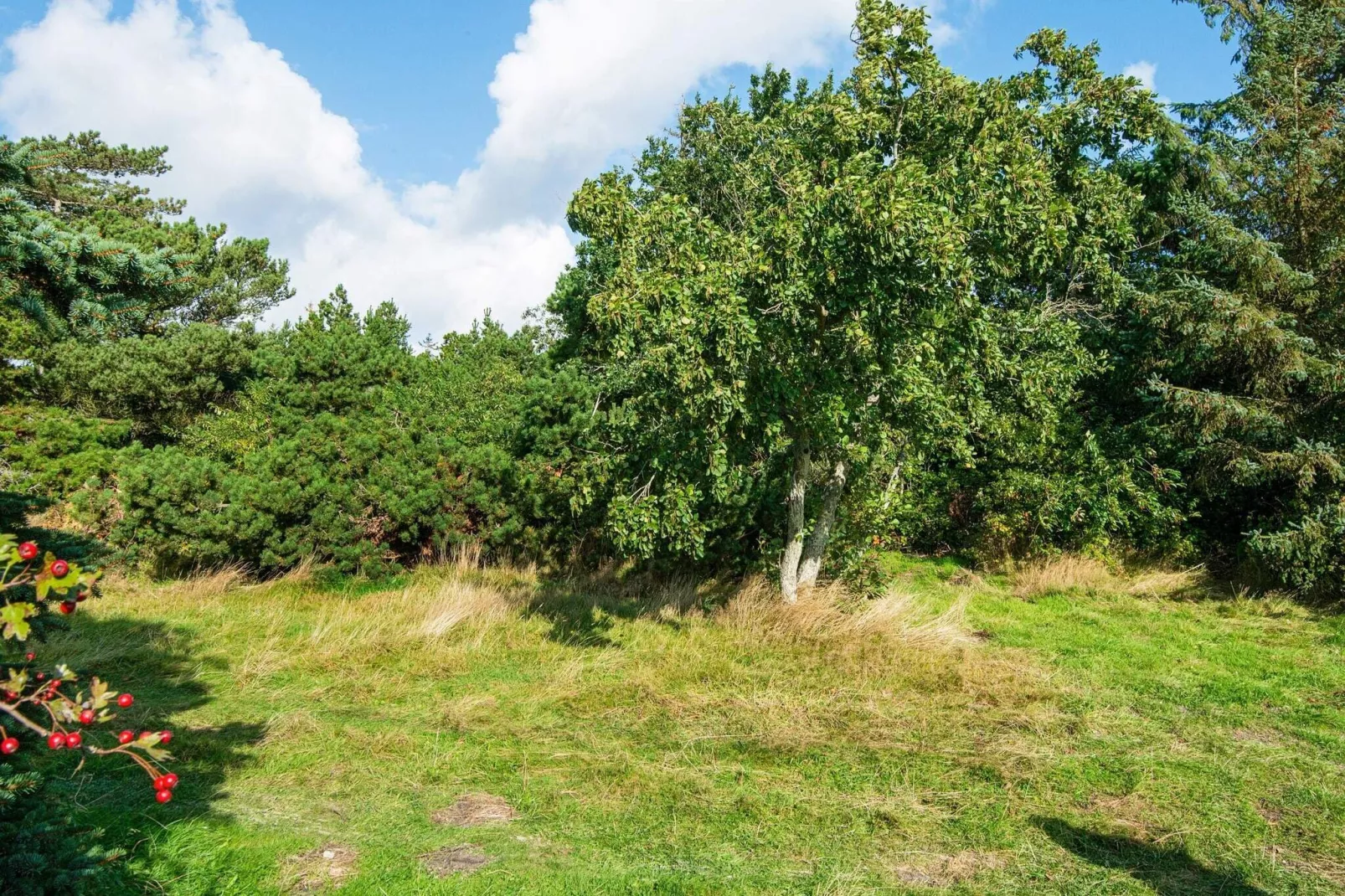 Maison de vacances pour 9 a Rømø-Vue