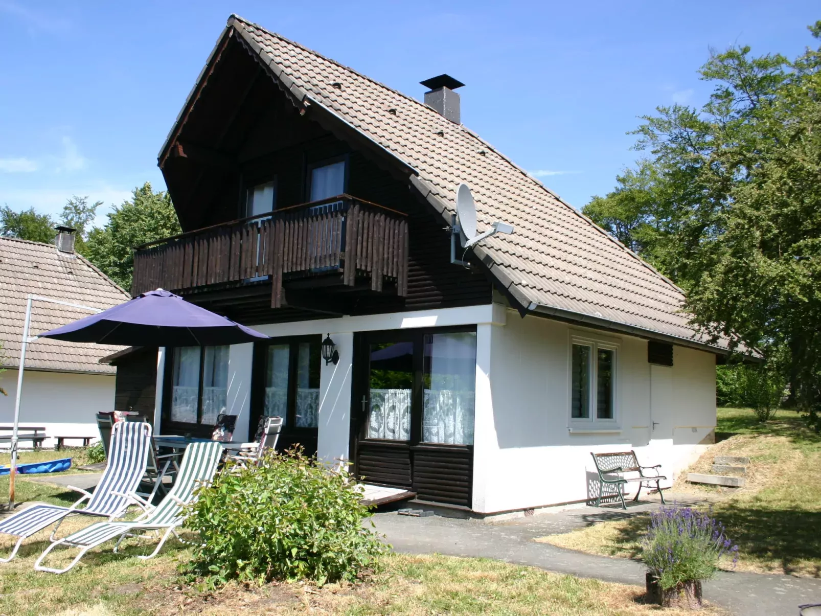 Eule-Outside