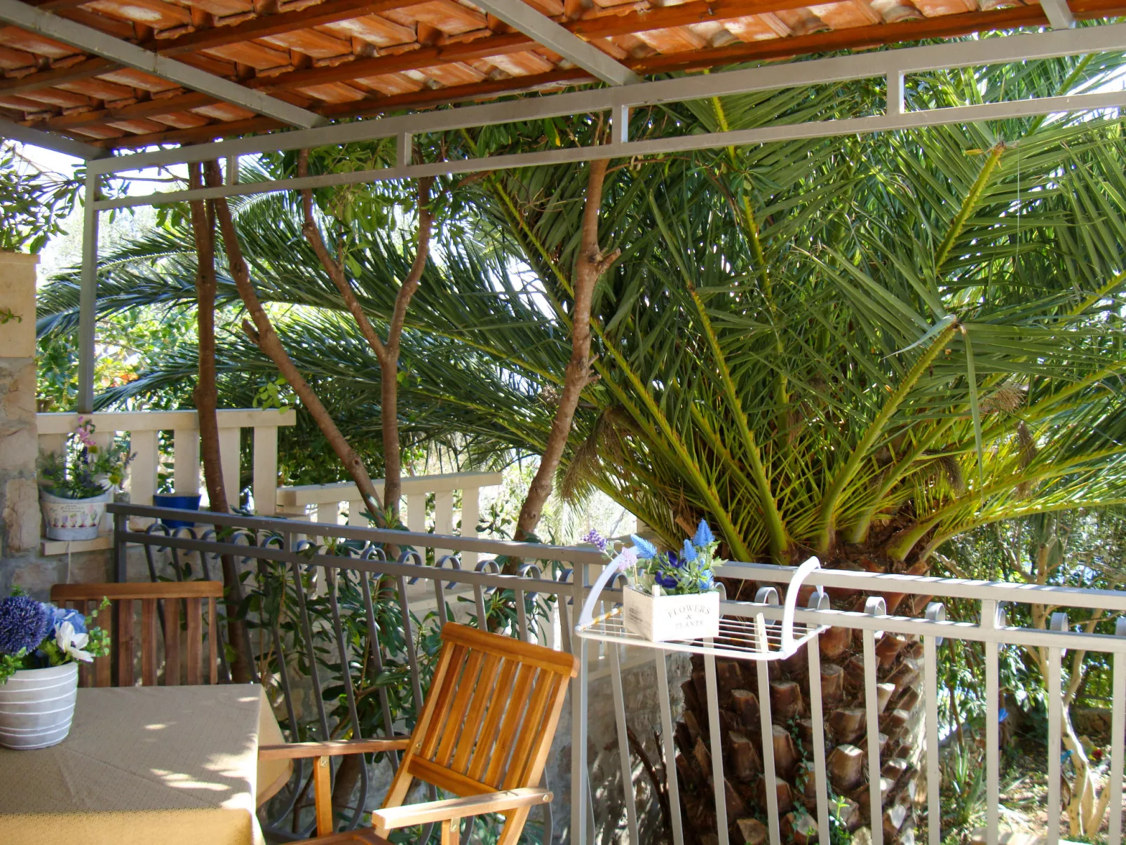 Garden-Outside