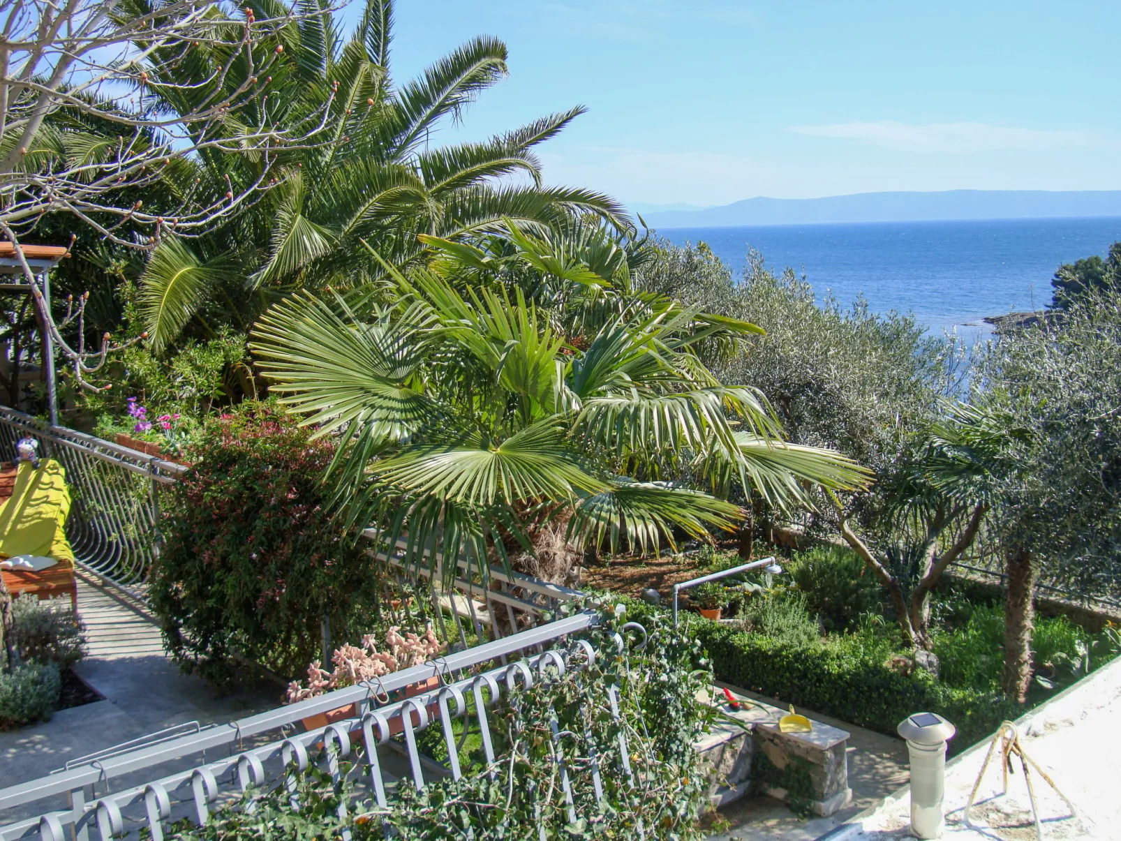Garden-Outside