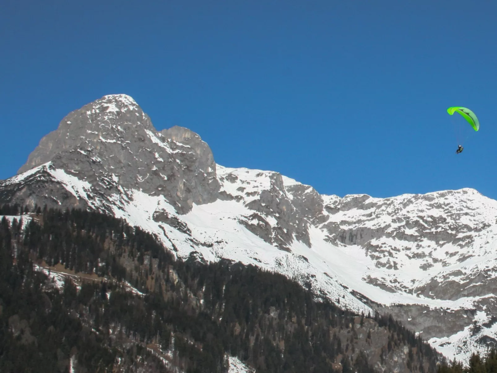 Edelweiss-Draußen