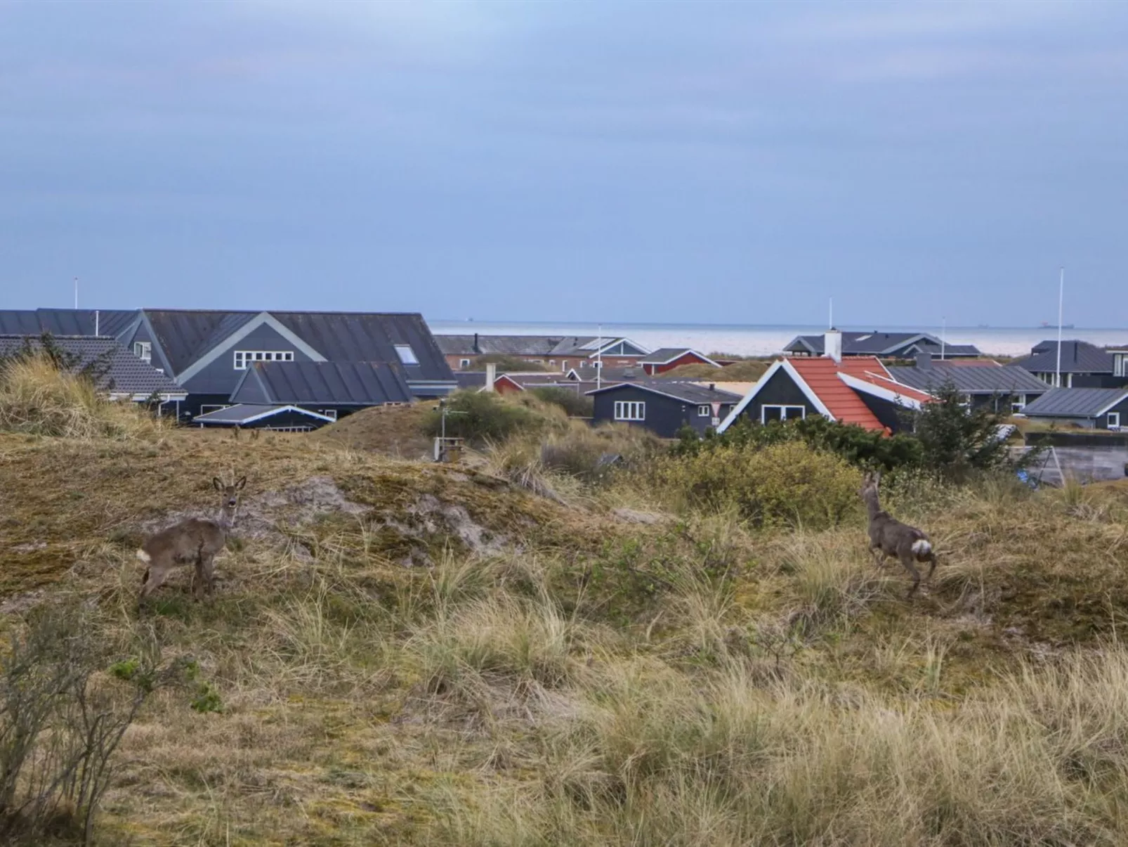 "Hansina" - 500m from the sea-Outside