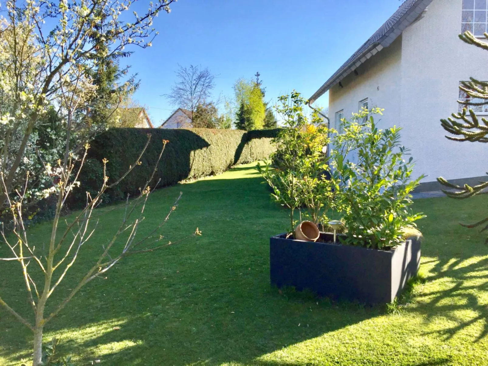 Kiefernweg-Outside