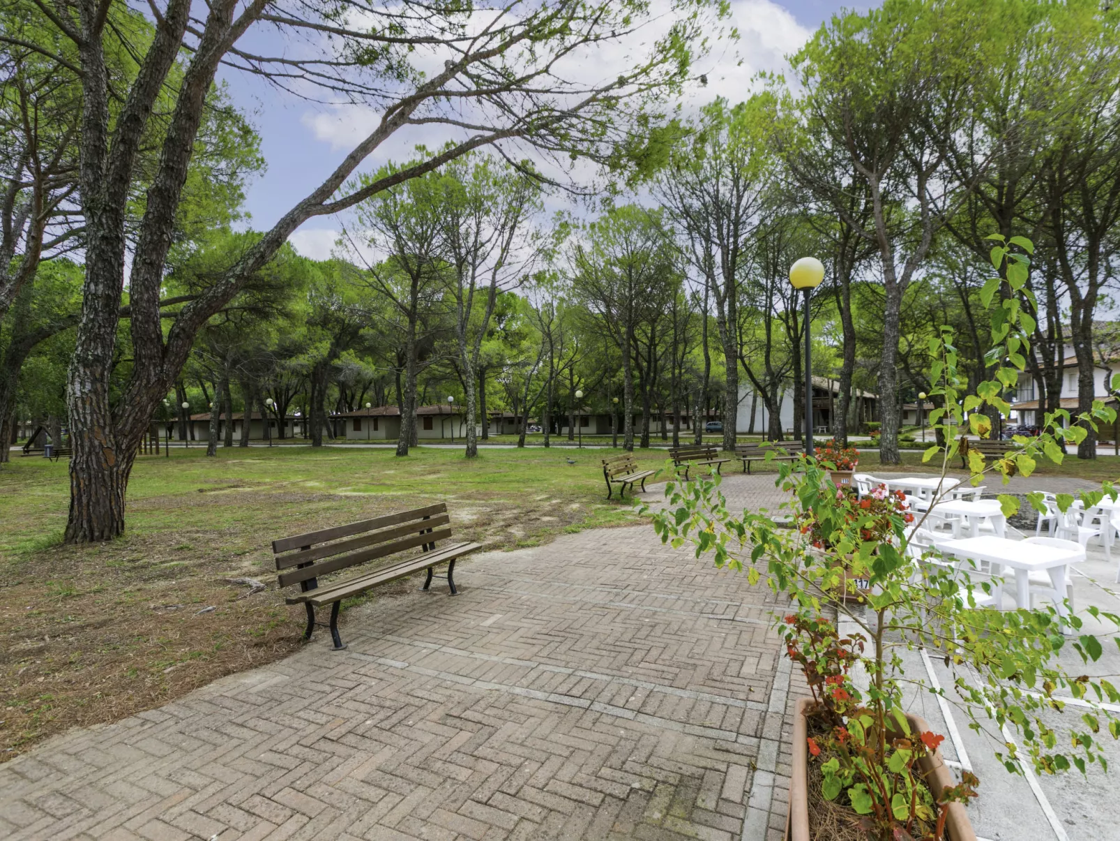 Adria Home (GDO203)-Outside