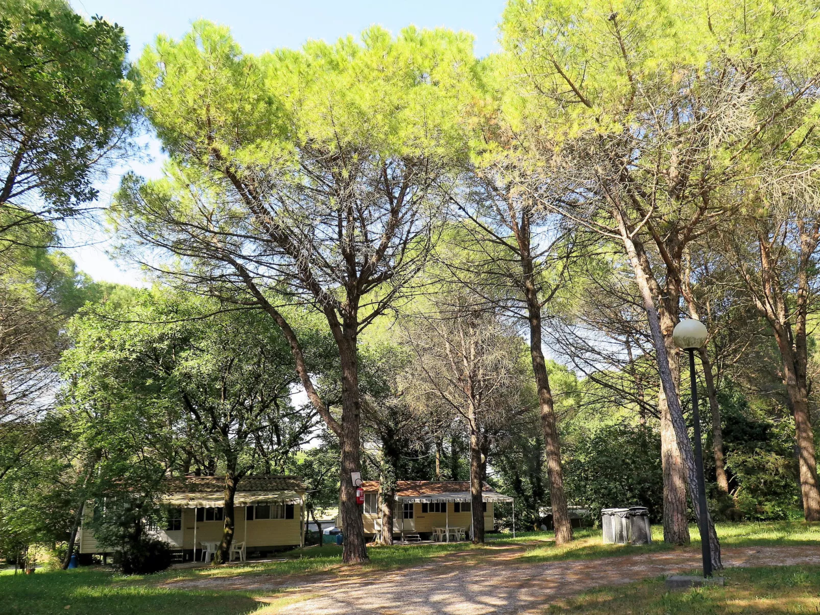 Green Holiday (GDO201)-Dehors