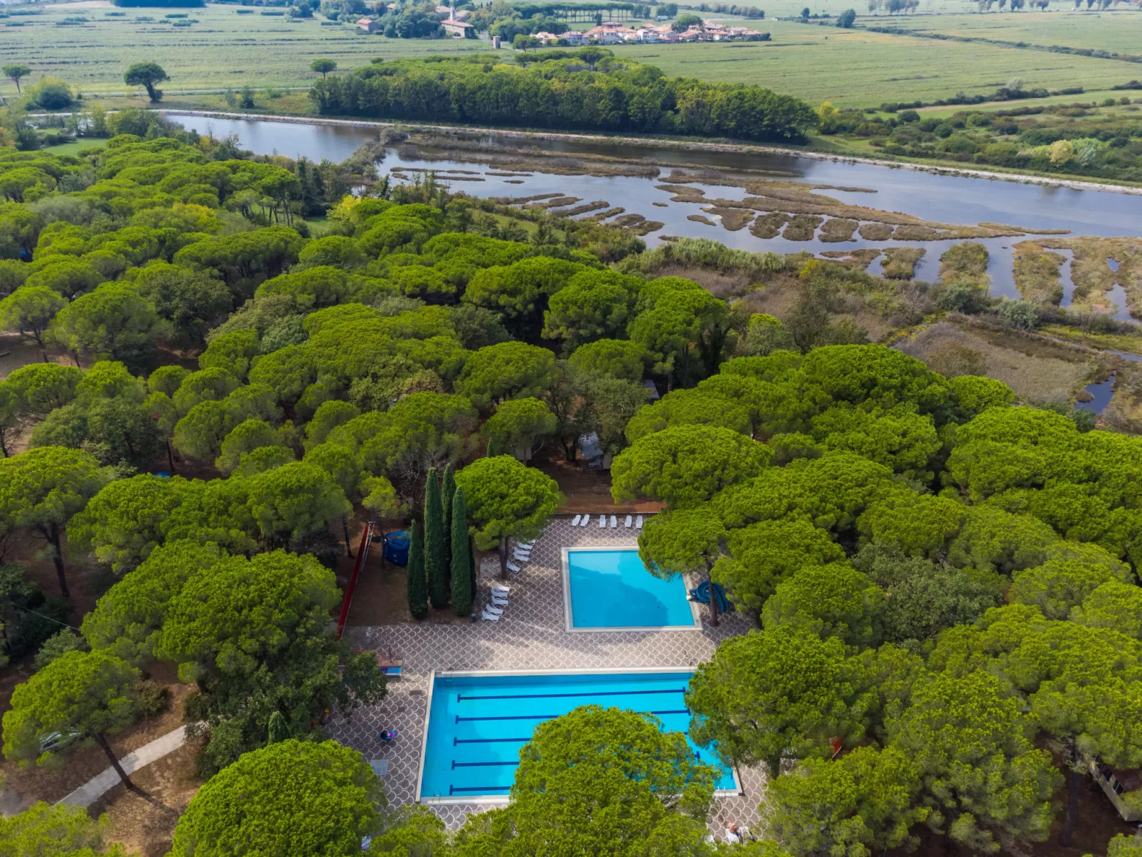 Green Holiday (GDO201)-Dehors