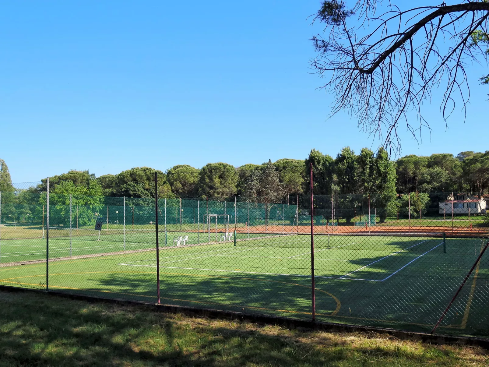Green Holiday (GDO201)-Dehors