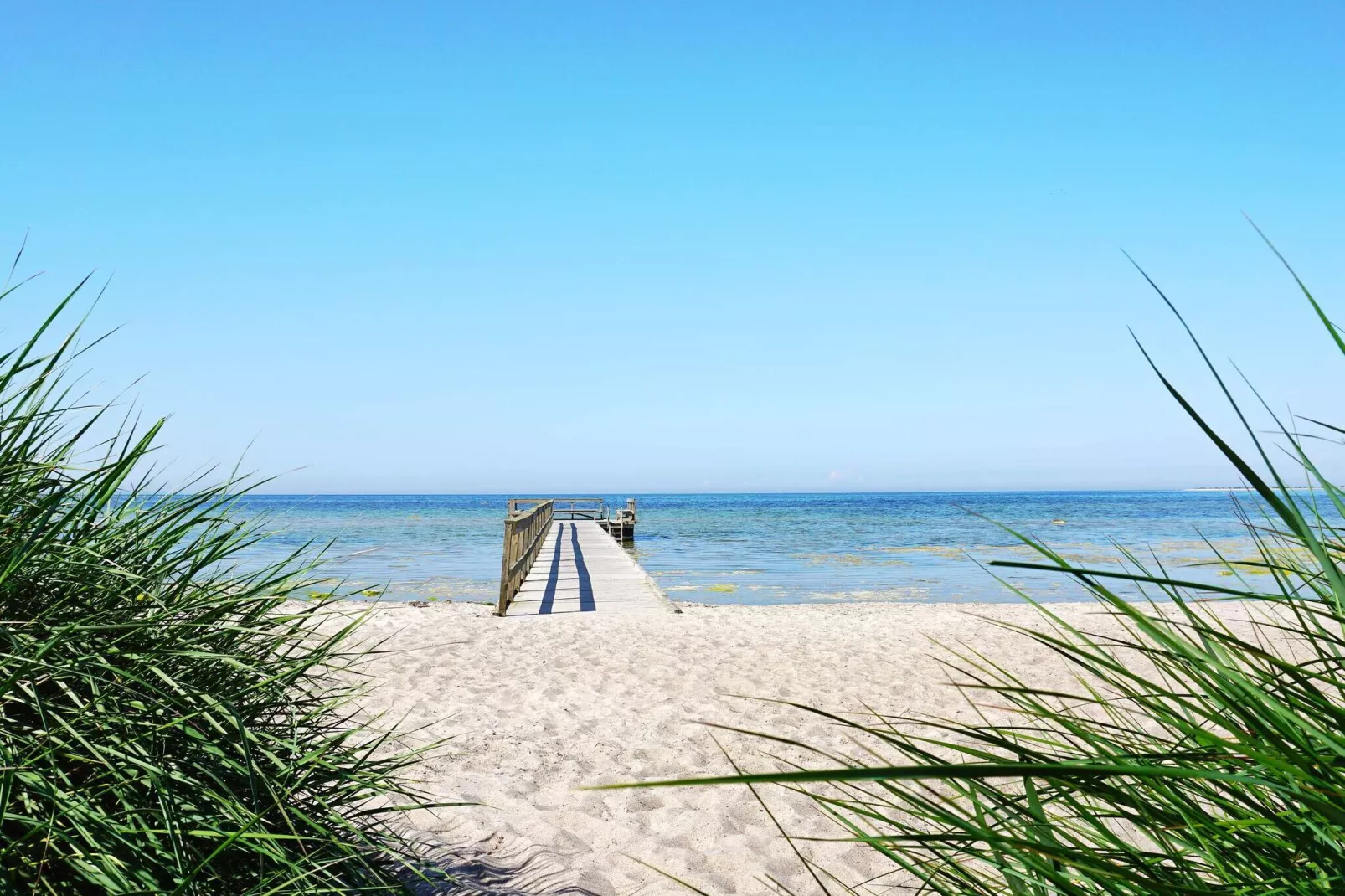 Summer Gem in Central Visby-By Traum-Not tagged