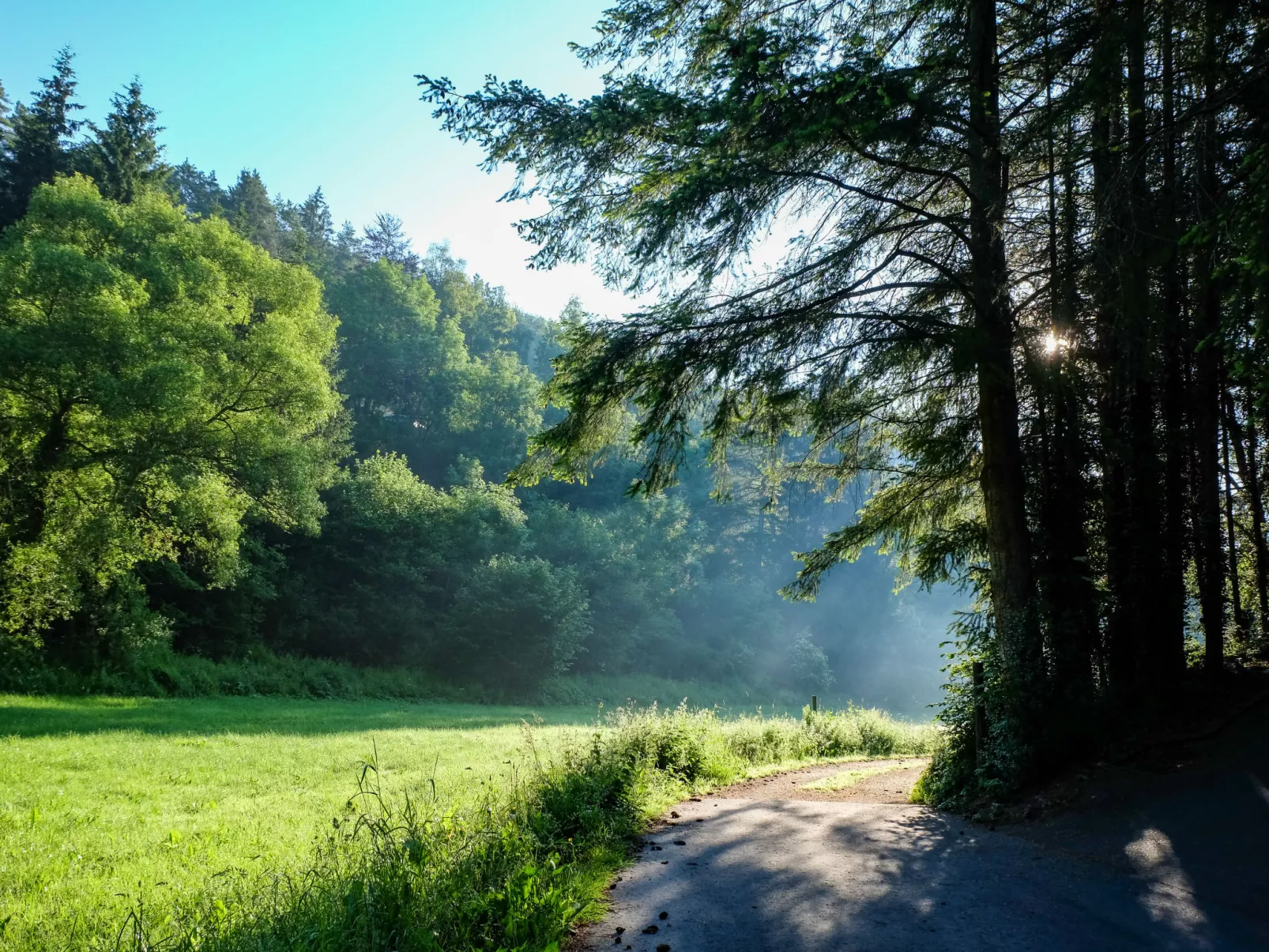 Reinskopf-Environnement