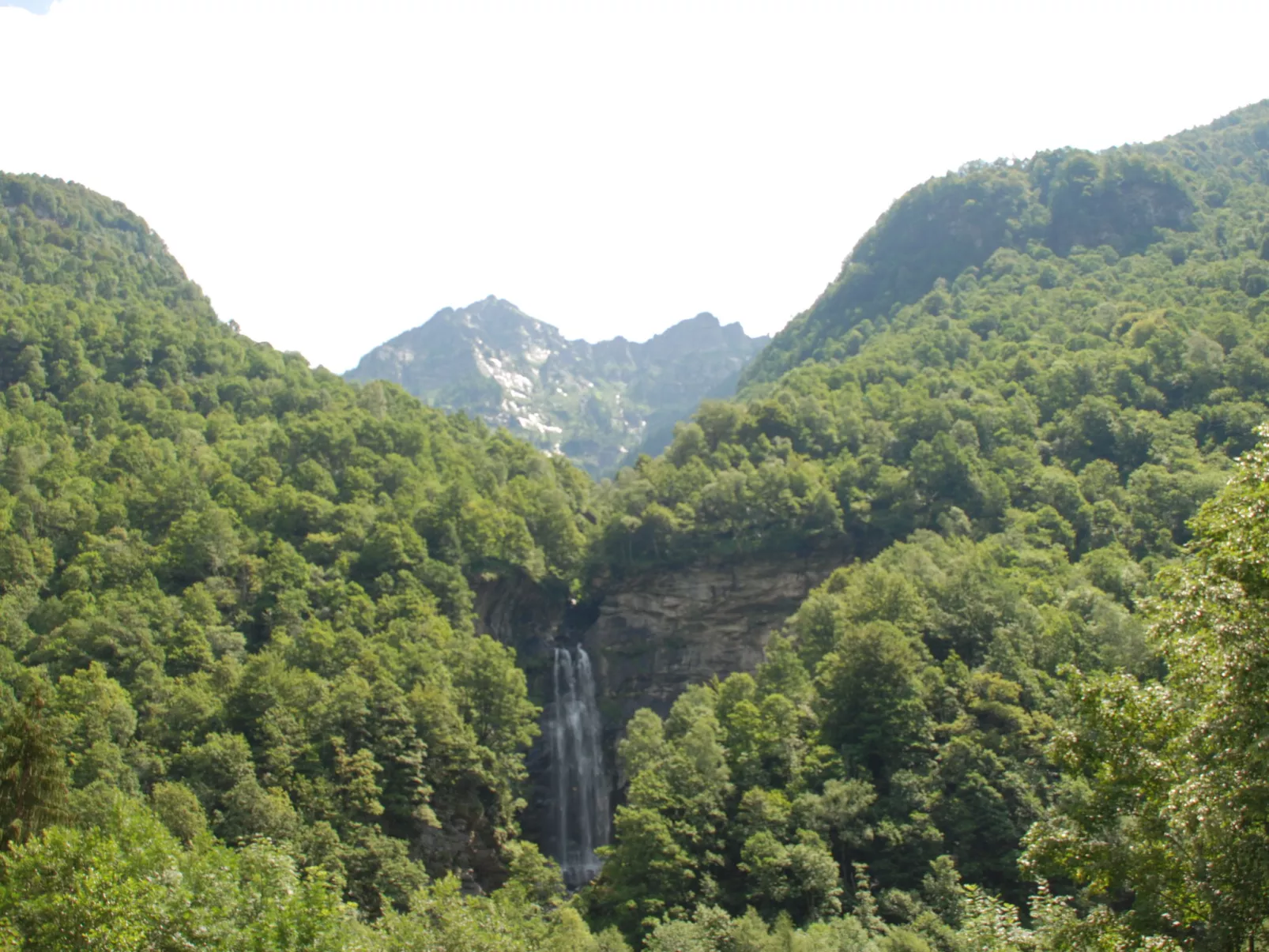 La Rustica-Area