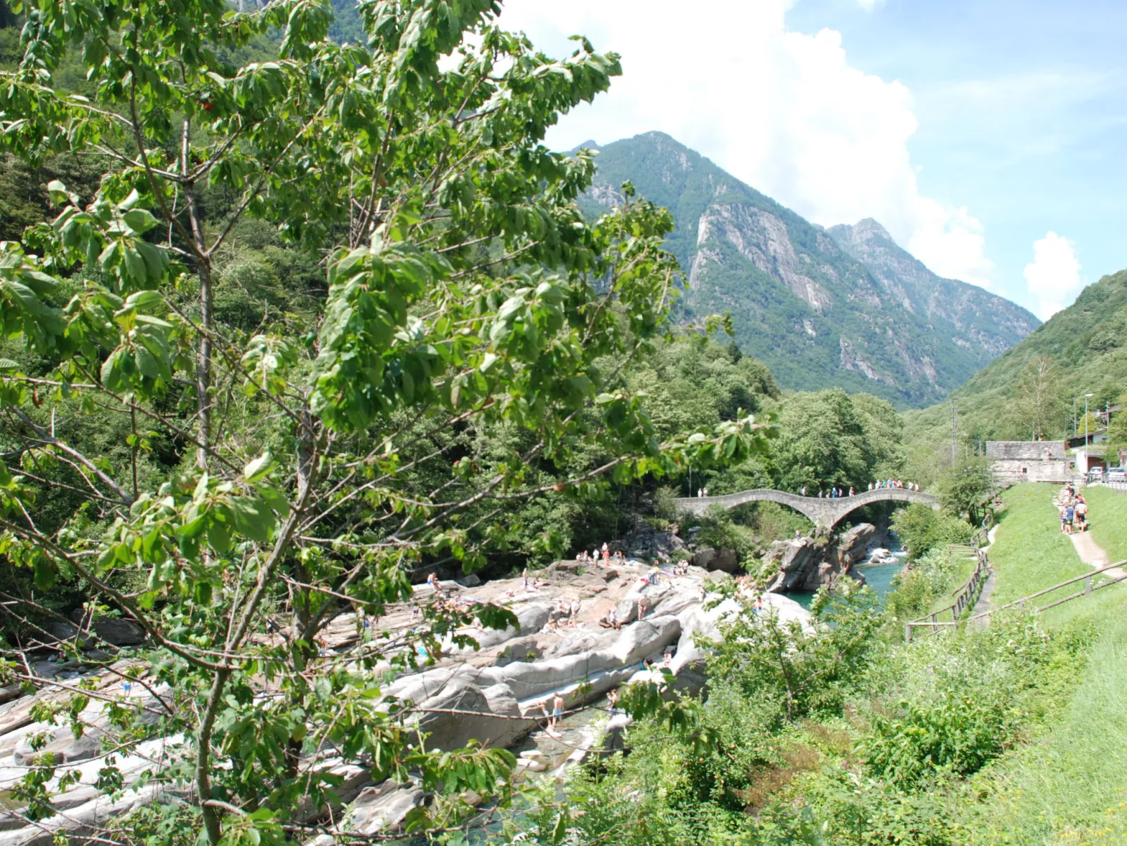 La Rustica-Area
