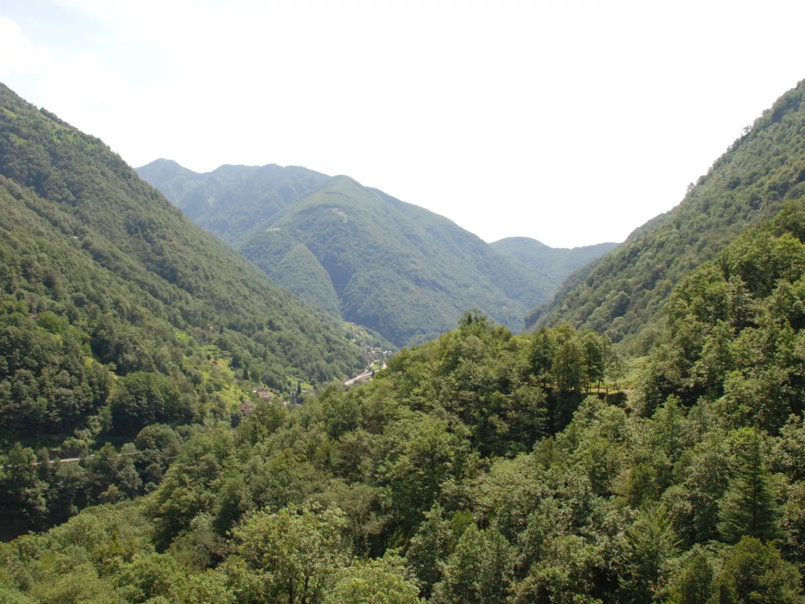 La Rustica-Area