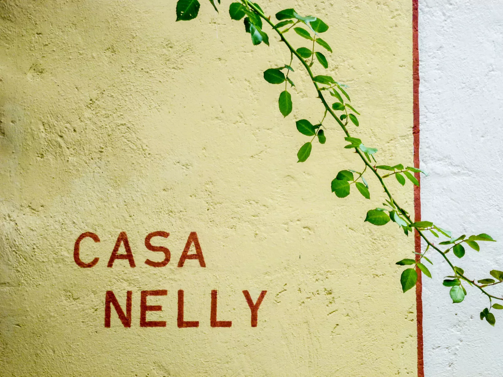 Nelly-Dehors