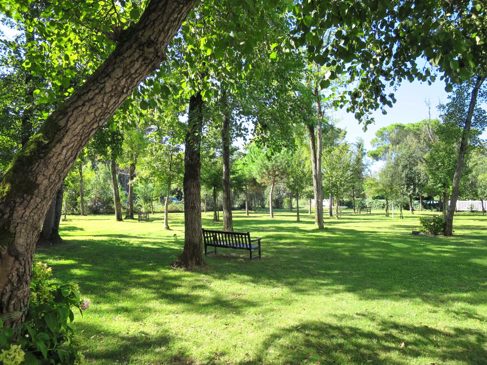 Residence Pinewood-Outside