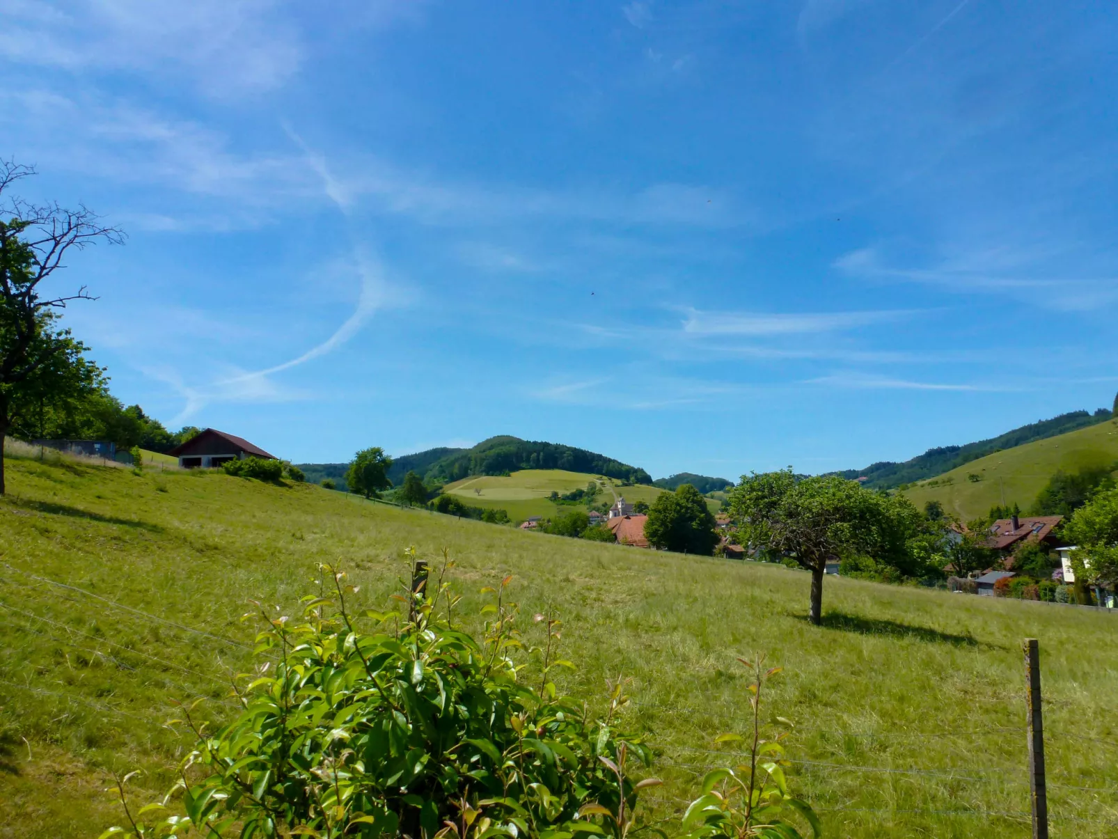 Pension Himmelsbach-Dehors