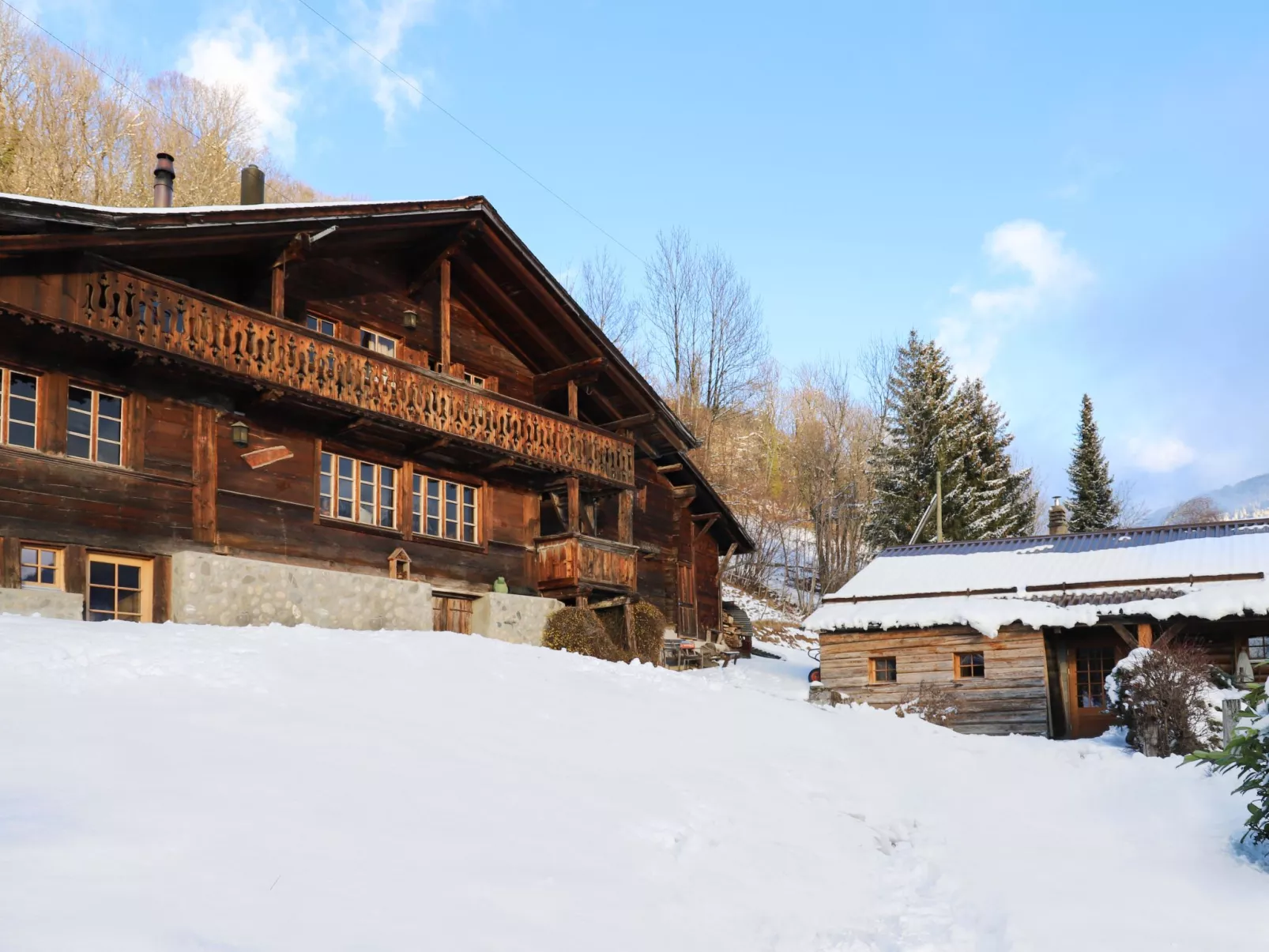 Chalet Pierre Fleur-Outside