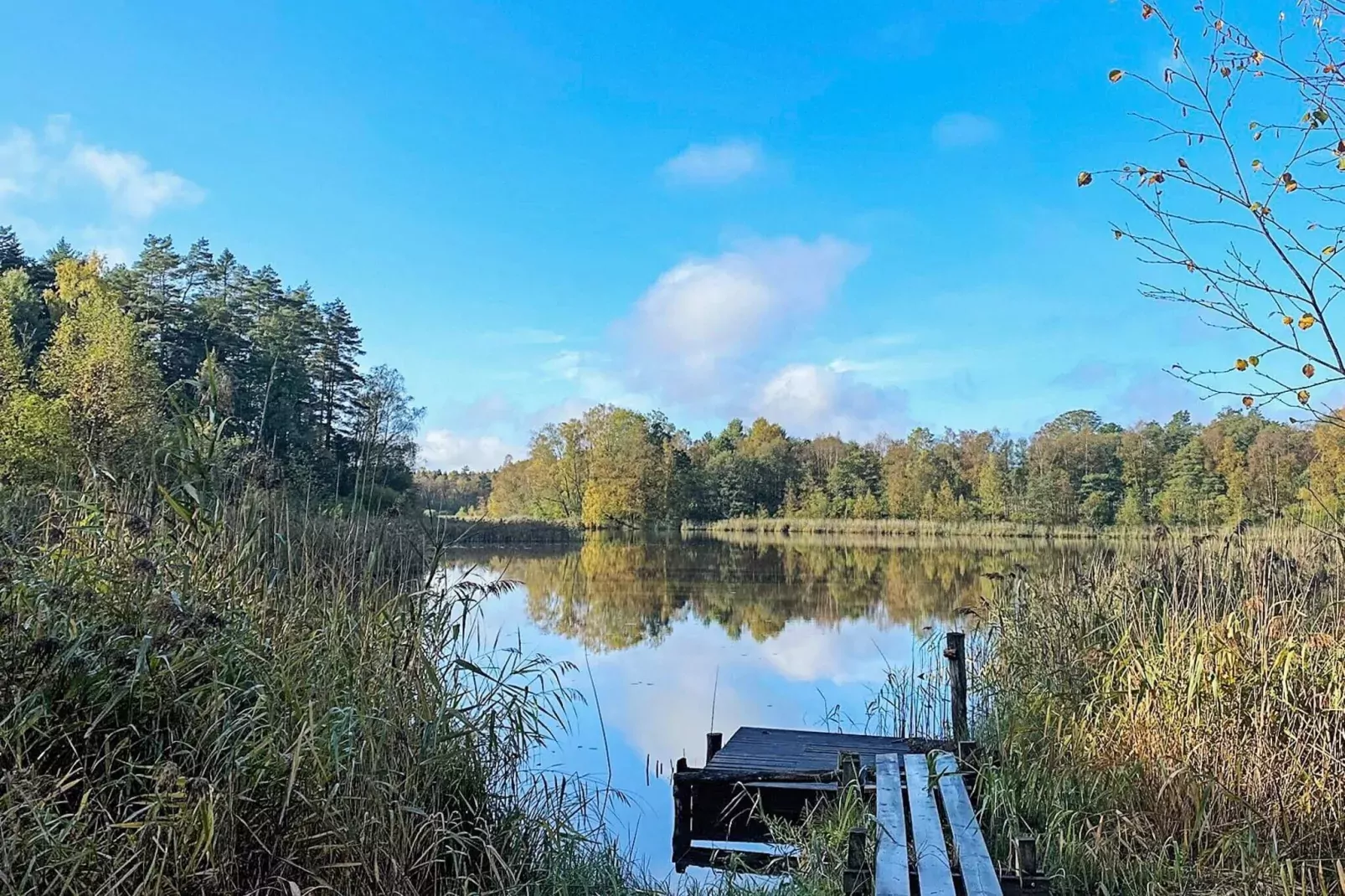 4 person holiday home in SKÅNES-FAGERHULT-Not tagged
