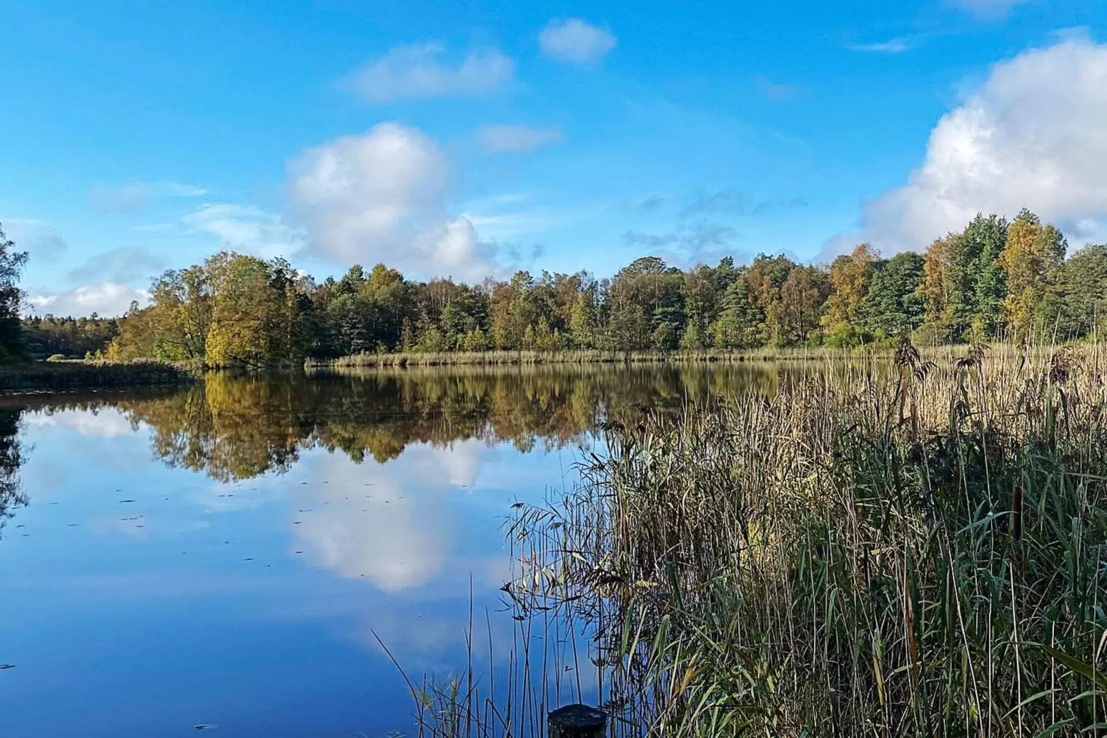 4 person holiday home in SKÅNES-FAGERHULT-Not tagged