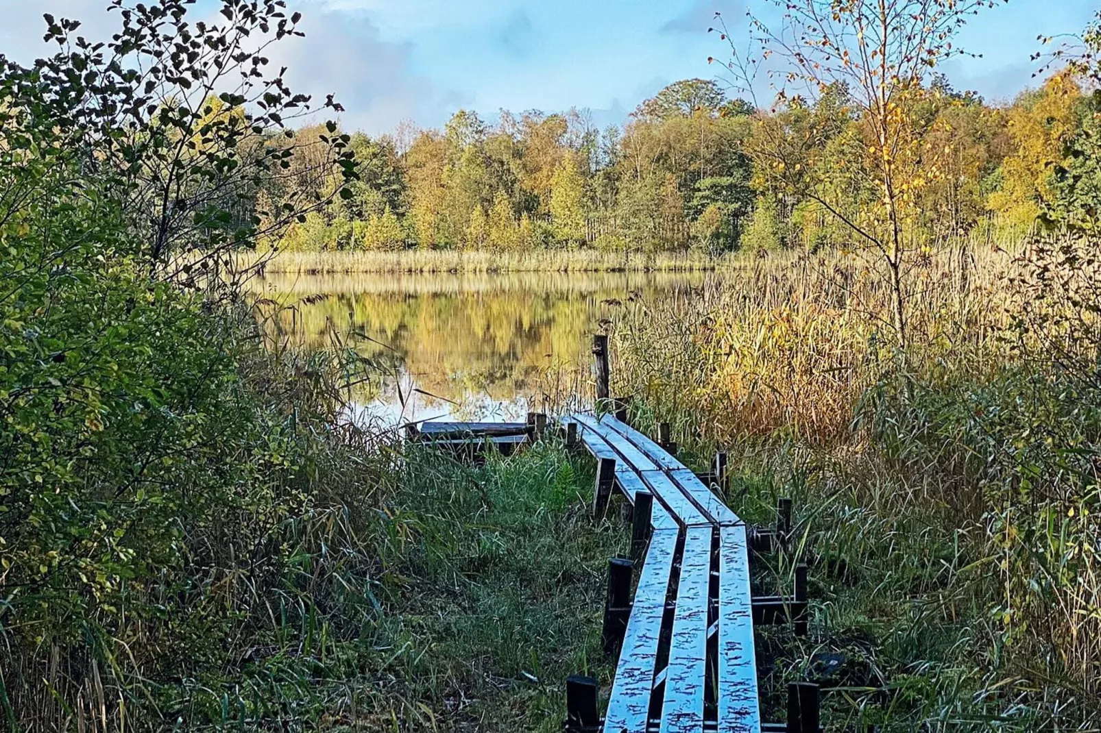 4 person holiday home in SKÅNES-FAGERHULT-Not tagged