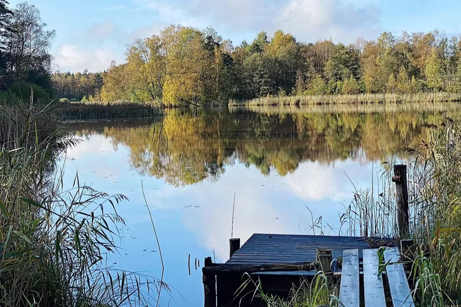 4 person holiday home in SKÅNES-FAGERHULT-Not tagged