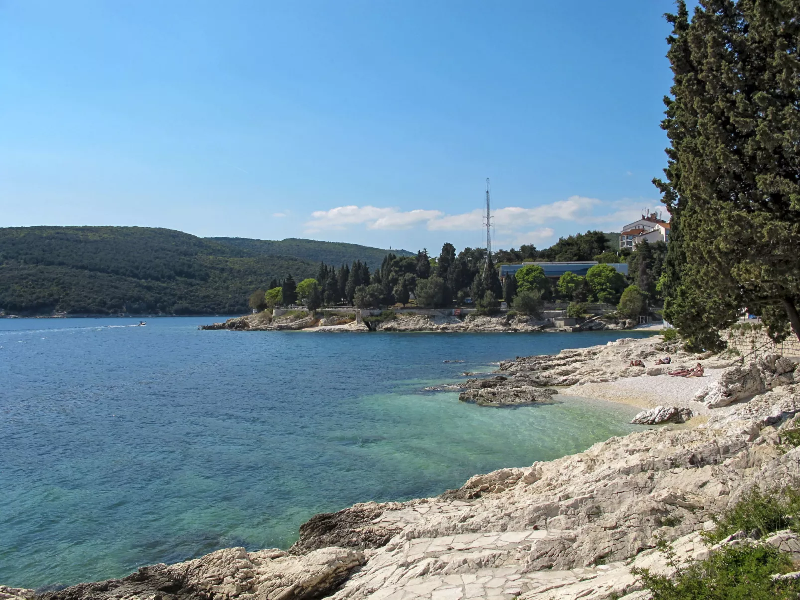 Orhideja-Area