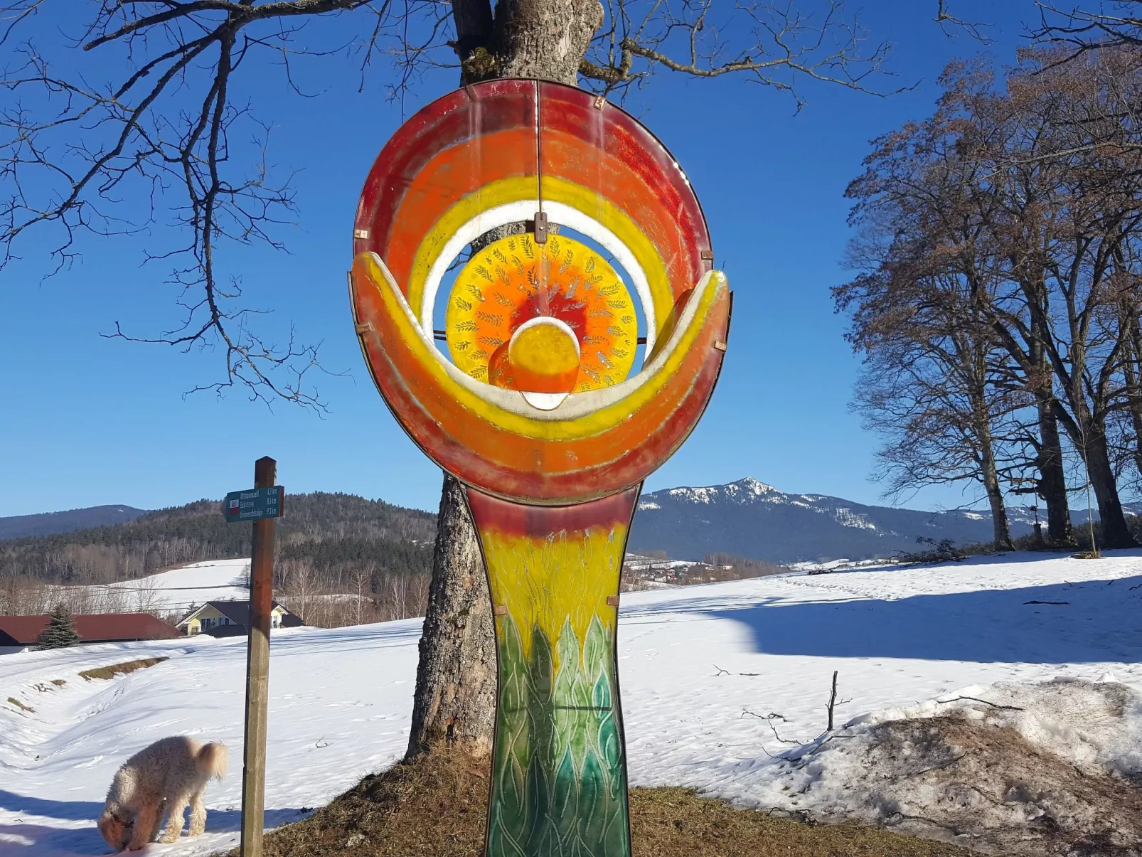 Am Hohen Bogen-Area