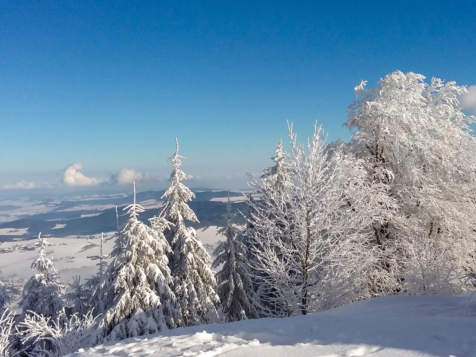 Am Hohen Bogen-Area