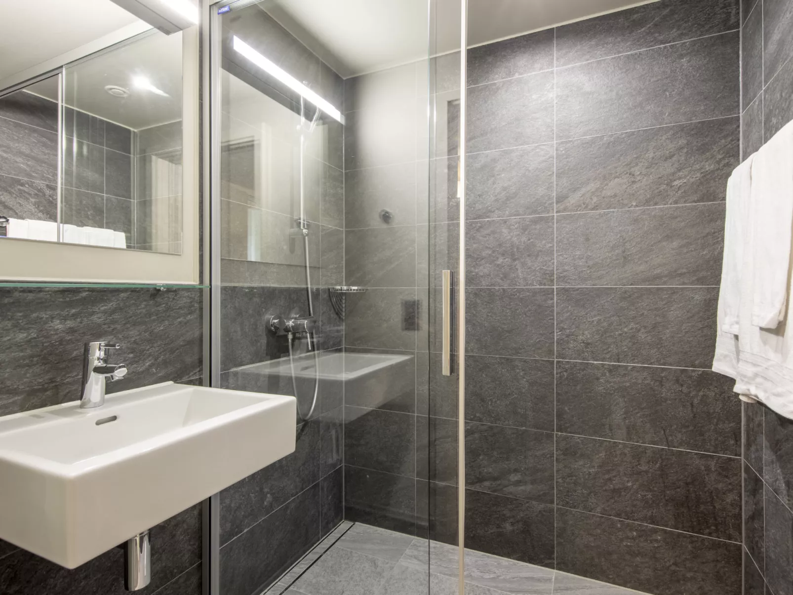 SWISSPEAK Resorts Meiringen-Inside