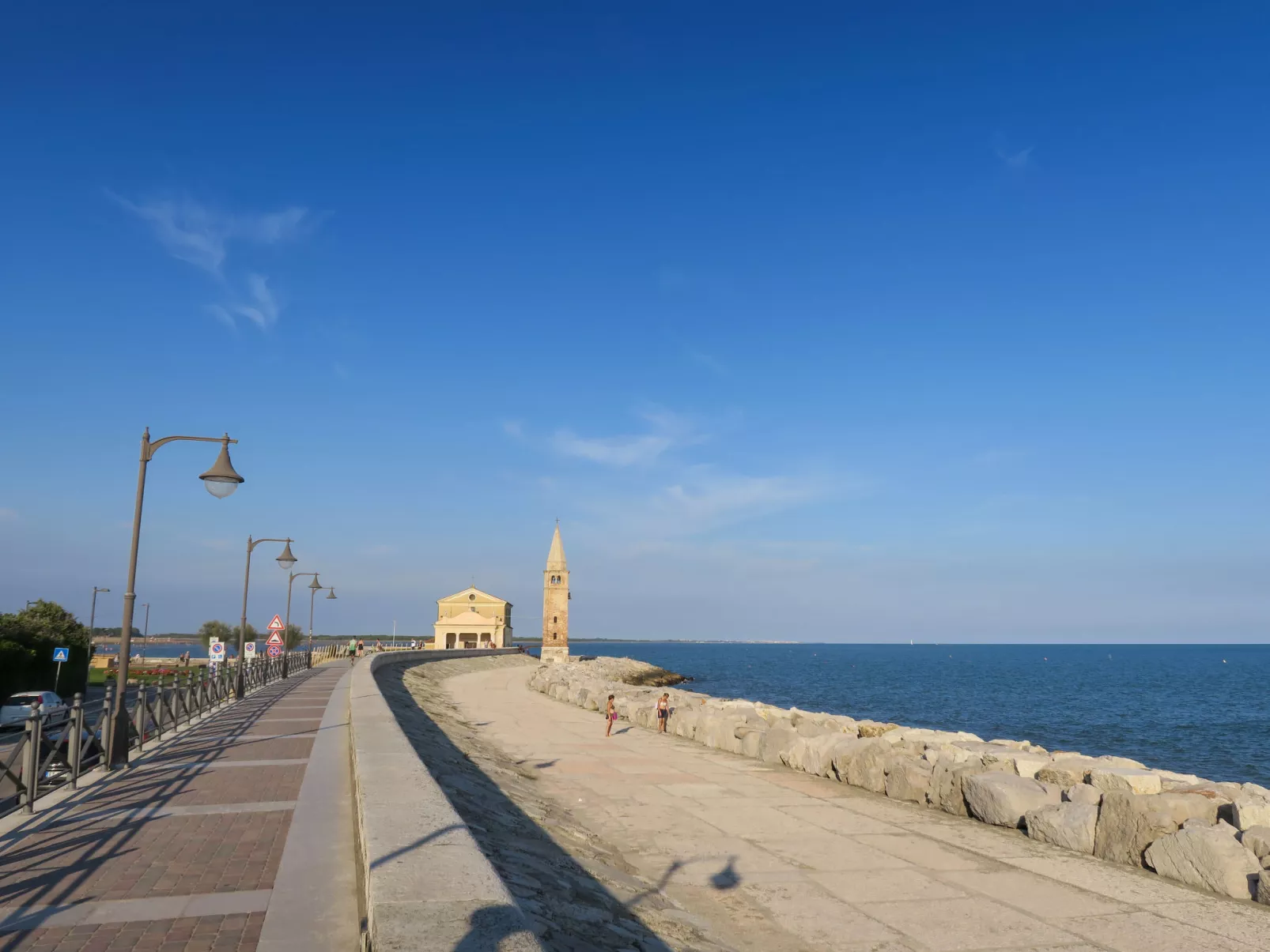 Albatros-Area