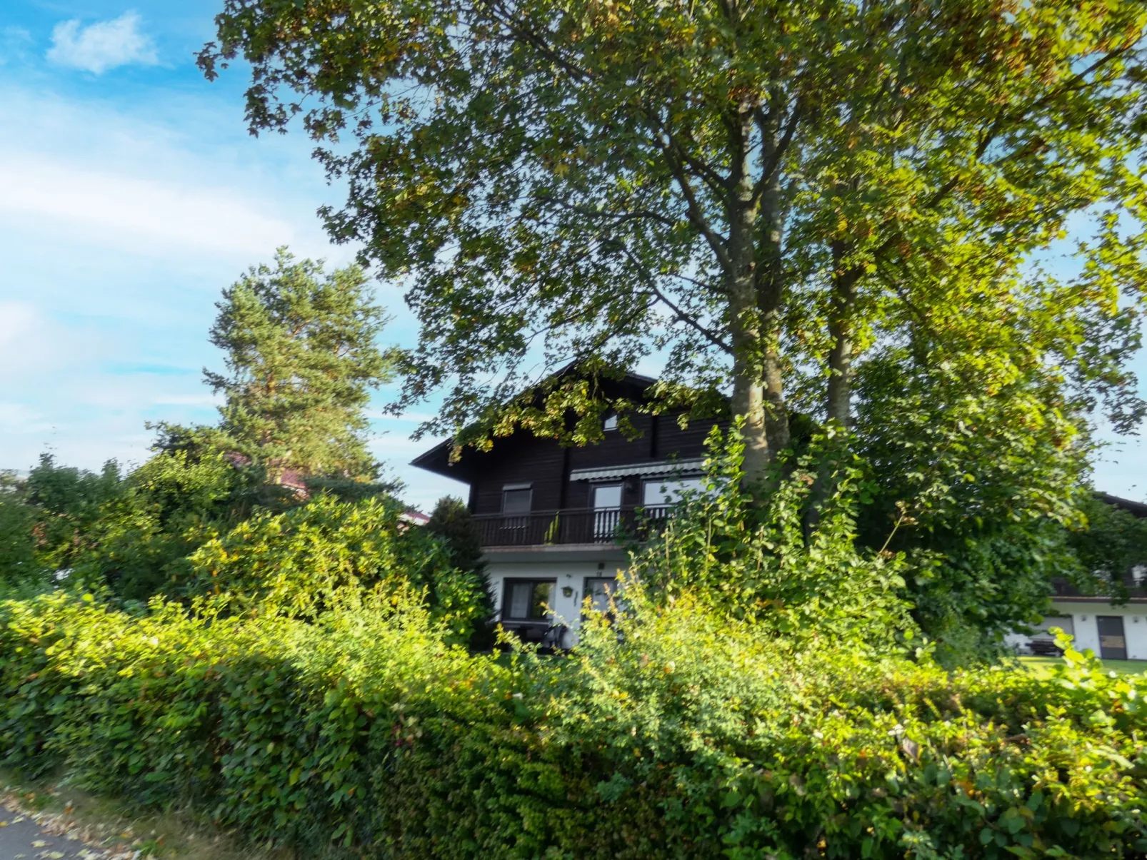Am Hohen Bogen-Draußen