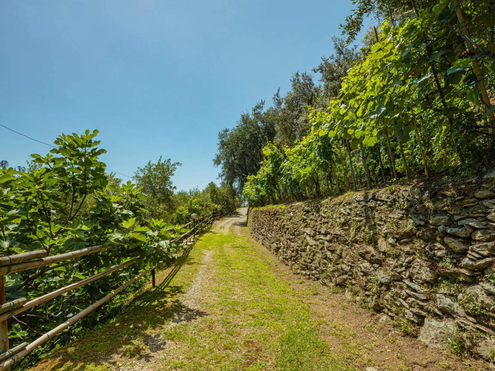 La Sperduta-Outside