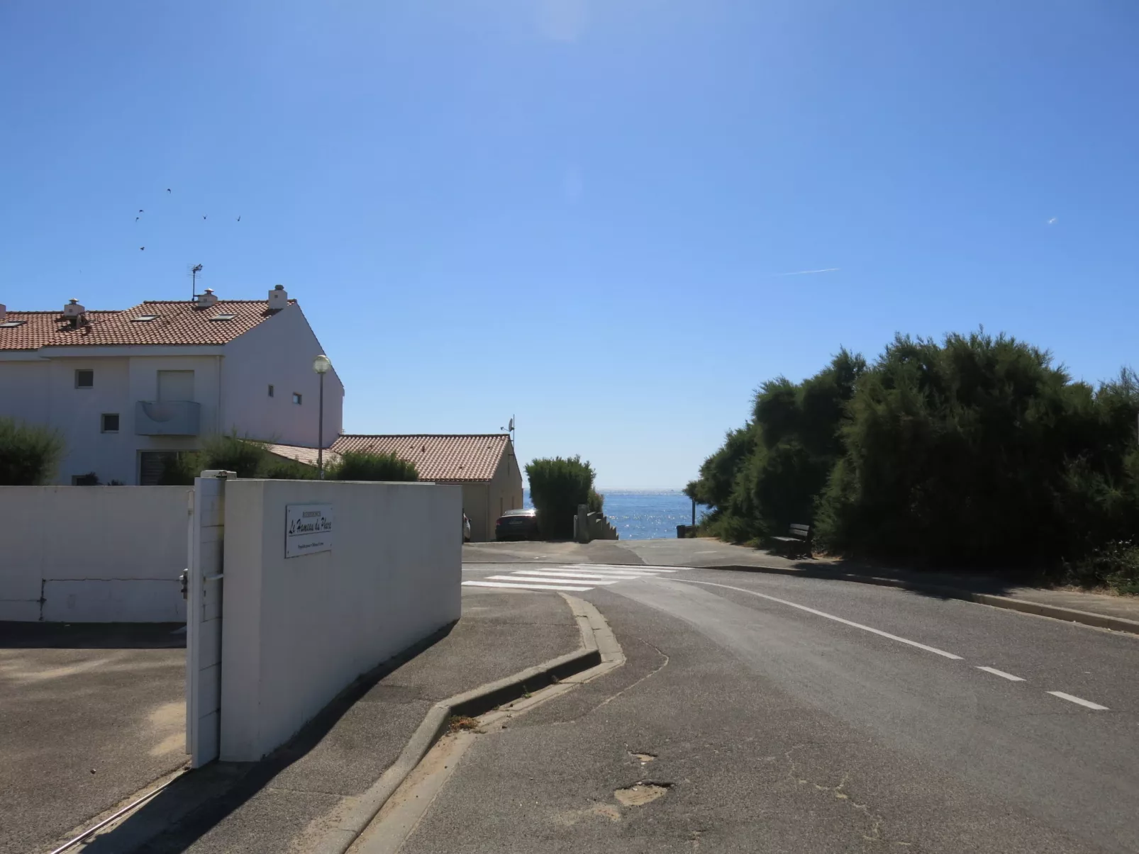 Le Goeland Argenté-Dehors