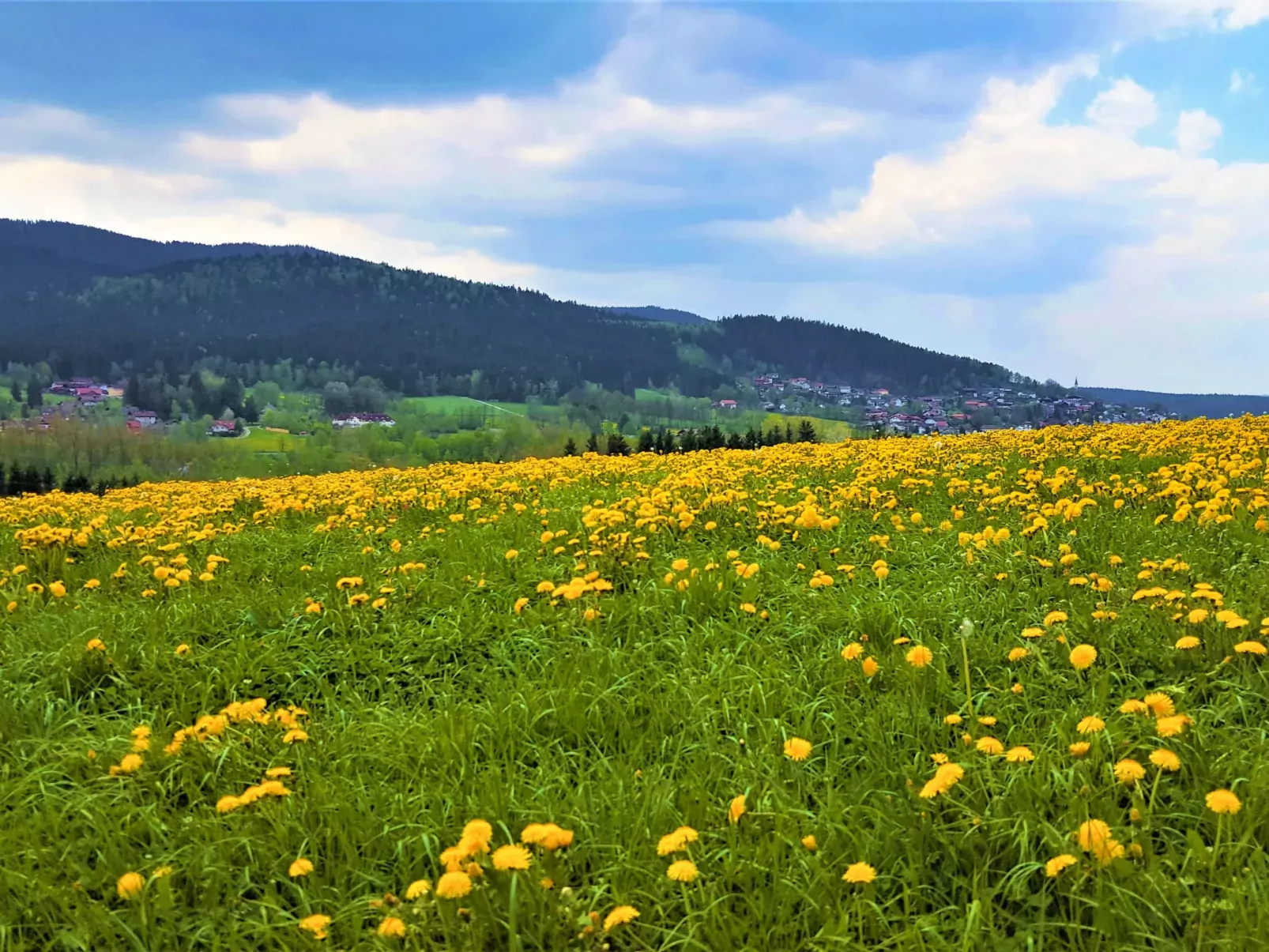 Am Hohen Bogen-Umgebung