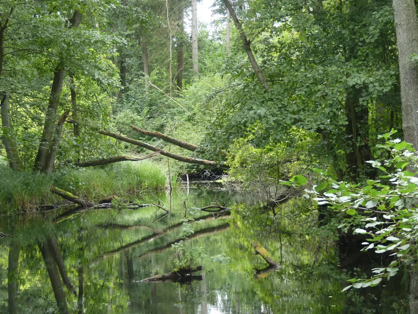 Landhaus Inselsee-Area