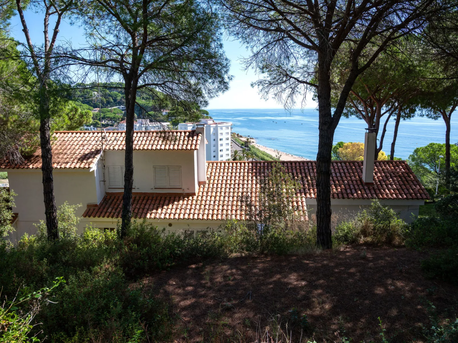 La Marina Blanca-Outside