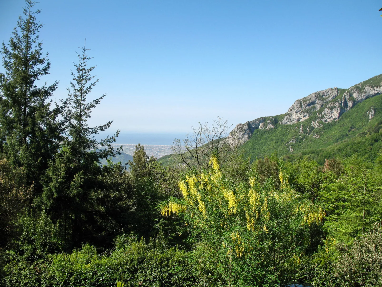 La Quercia-Dehors