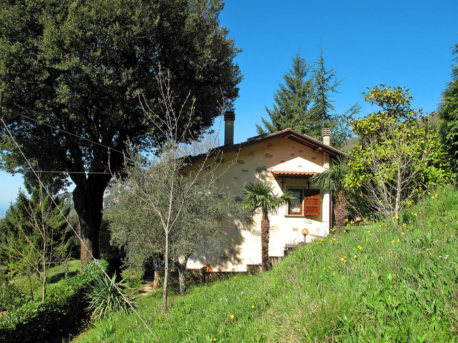 La Quercia-Dehors